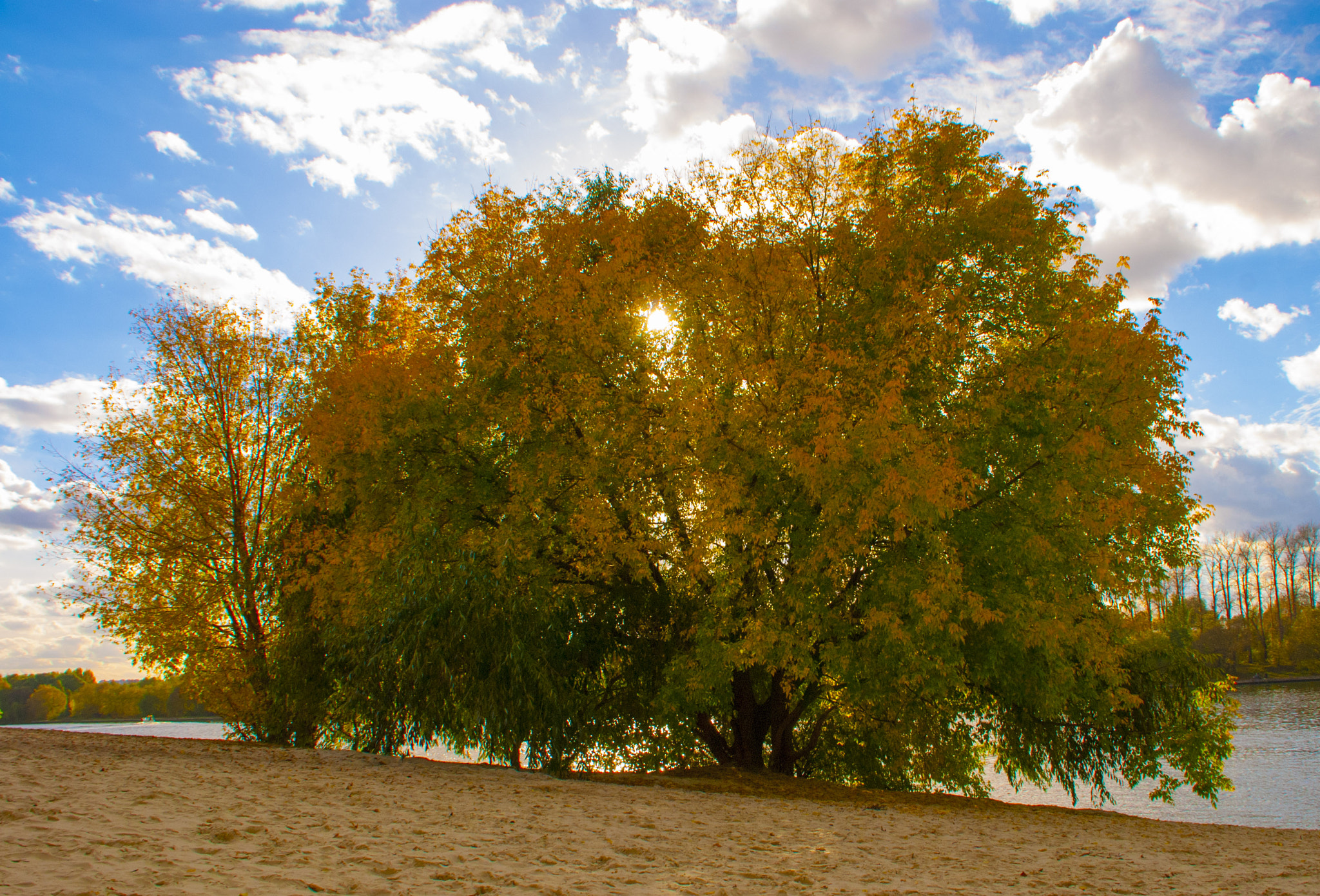 Nikon D80 sample photo