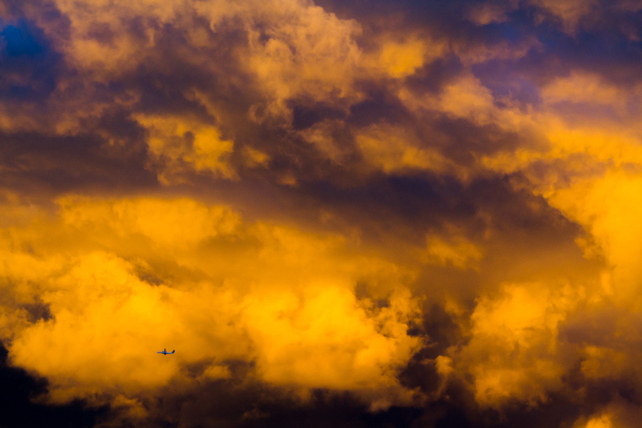 Canon EF 70-200mm F4L IS USM sample photo. Sunset flight photography