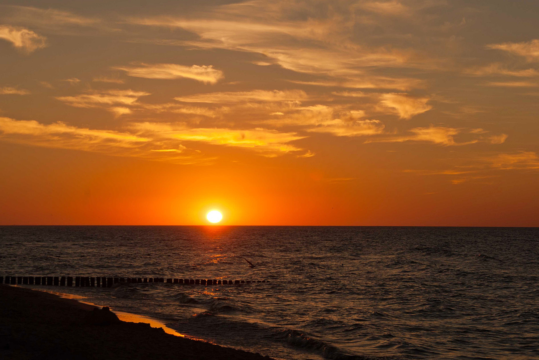 Tamron 18-270mm F3.5-6.3 Di II PZD sample photo. ----------- photography