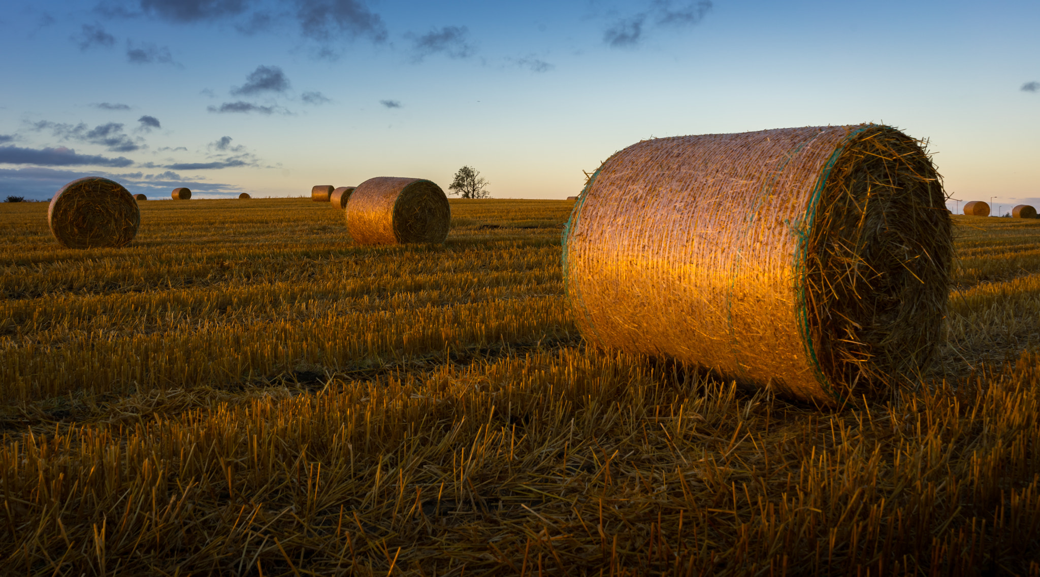 Sony a7R + Sony FE 28mm F2 sample photo. Morning glow photography