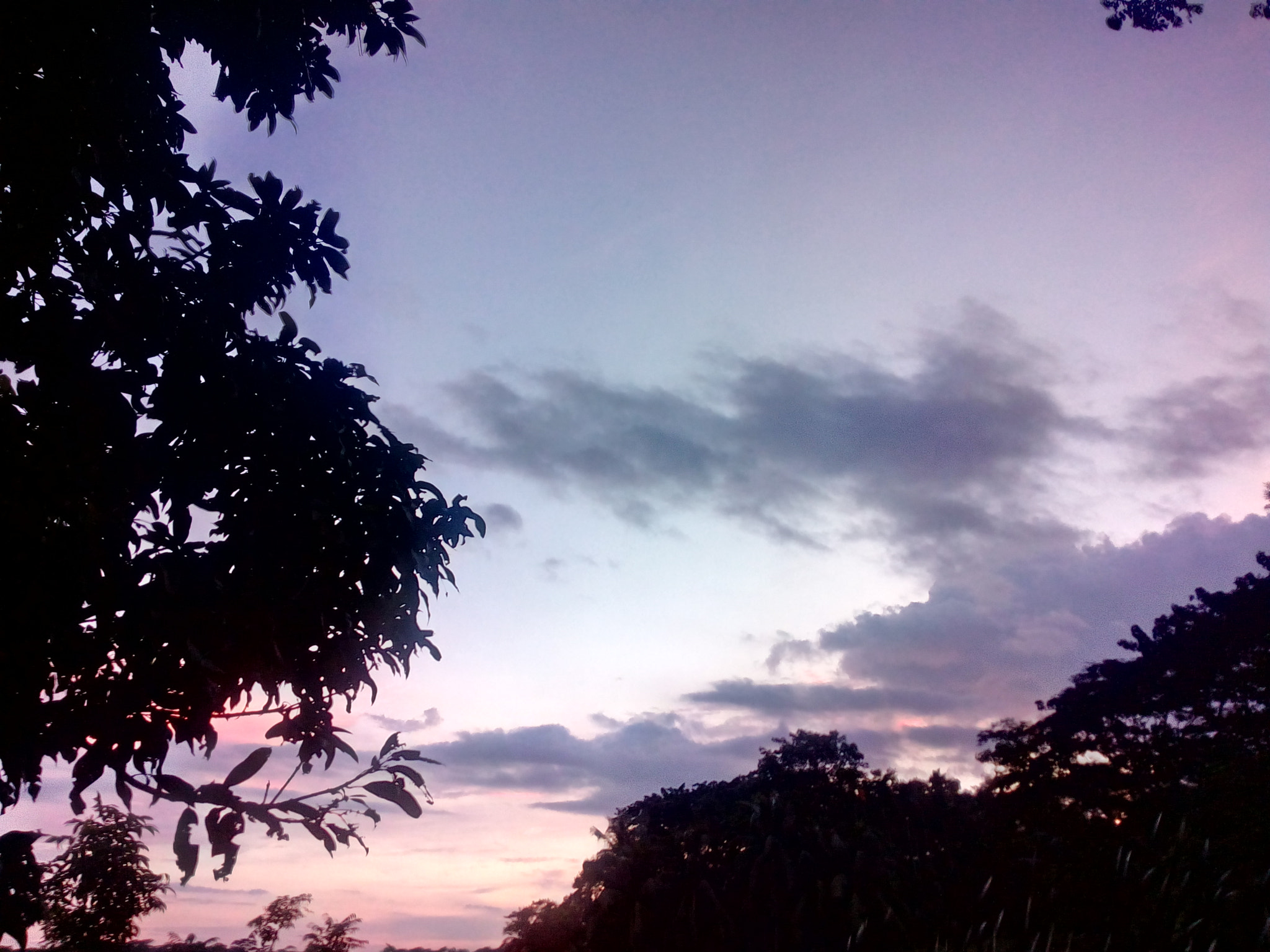 Symphony i10 sample photo