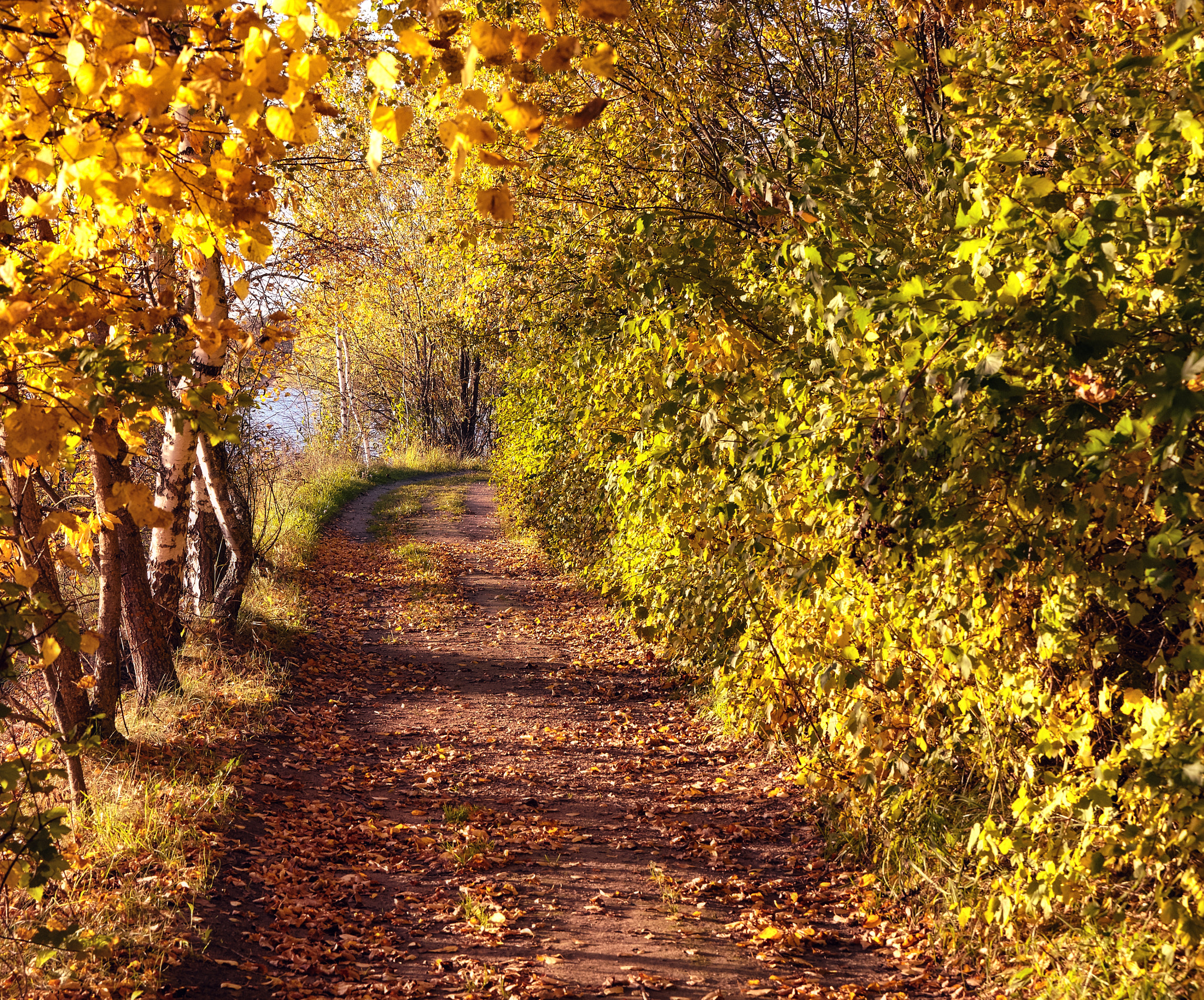 Canon EOS 5D Mark II sample photo. Autumn photography