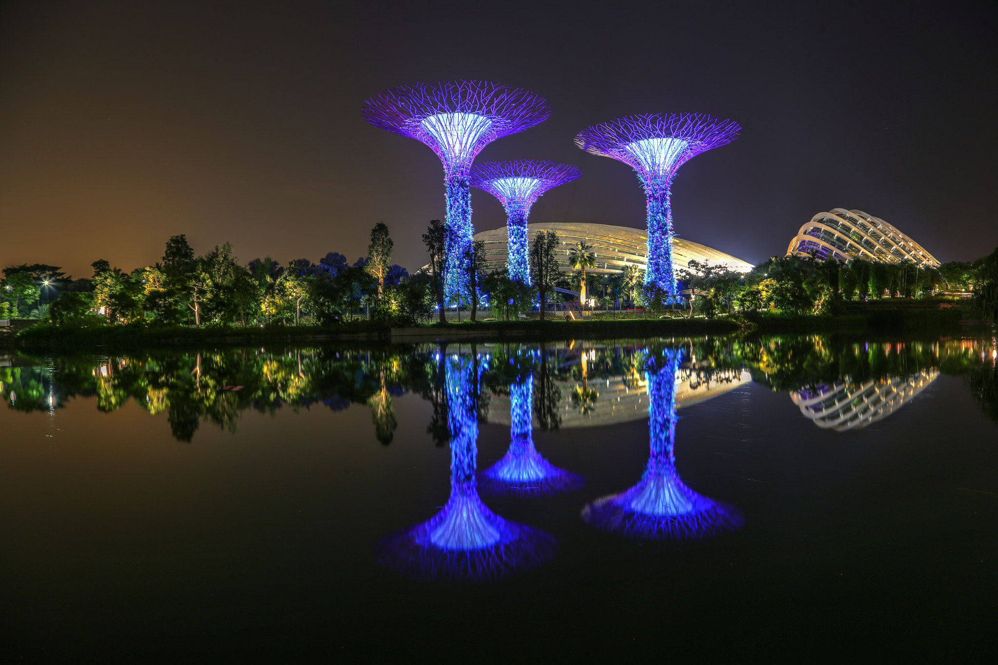 Canon EOS 6D + Canon EF 100-300mm f/5.6L sample photo. Skytree @ gardens by the bay, singapore photography