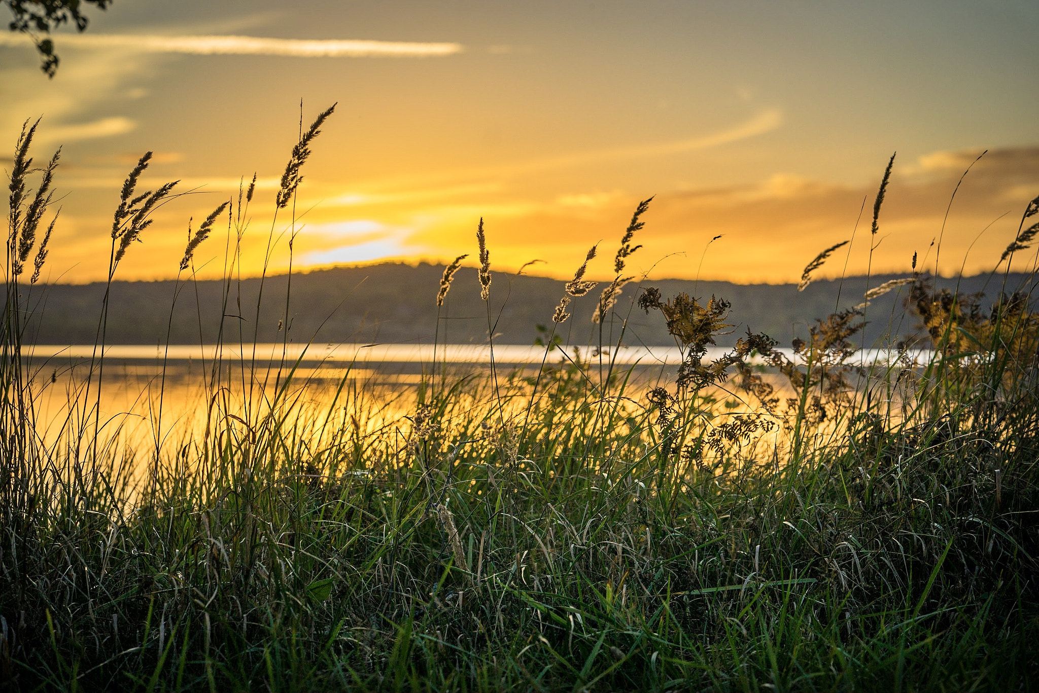 Sony a7R + ZEISS Batis 85mm F1.8 sample photo. Sunset 6 photography