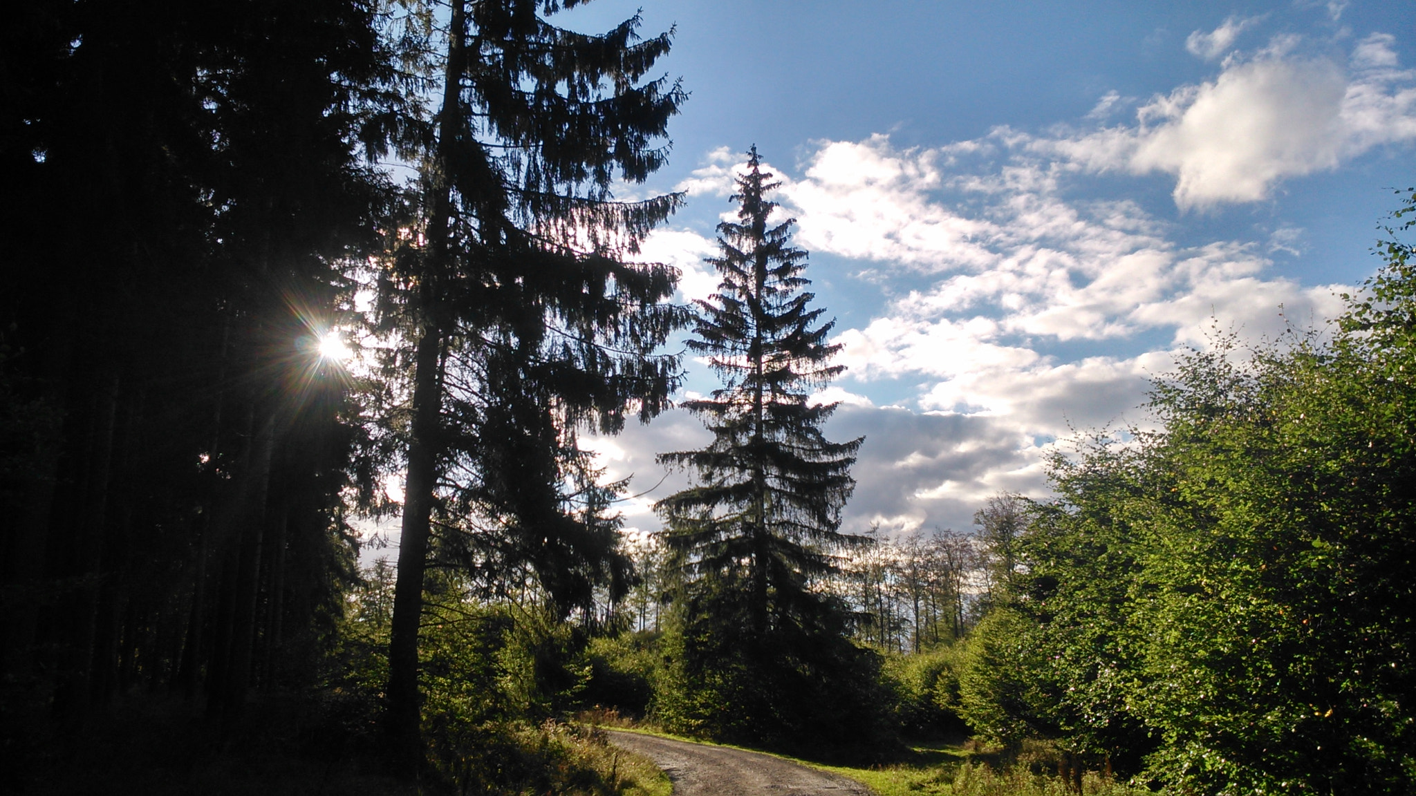 Sony Xperia L sample photo. The last daylight photography