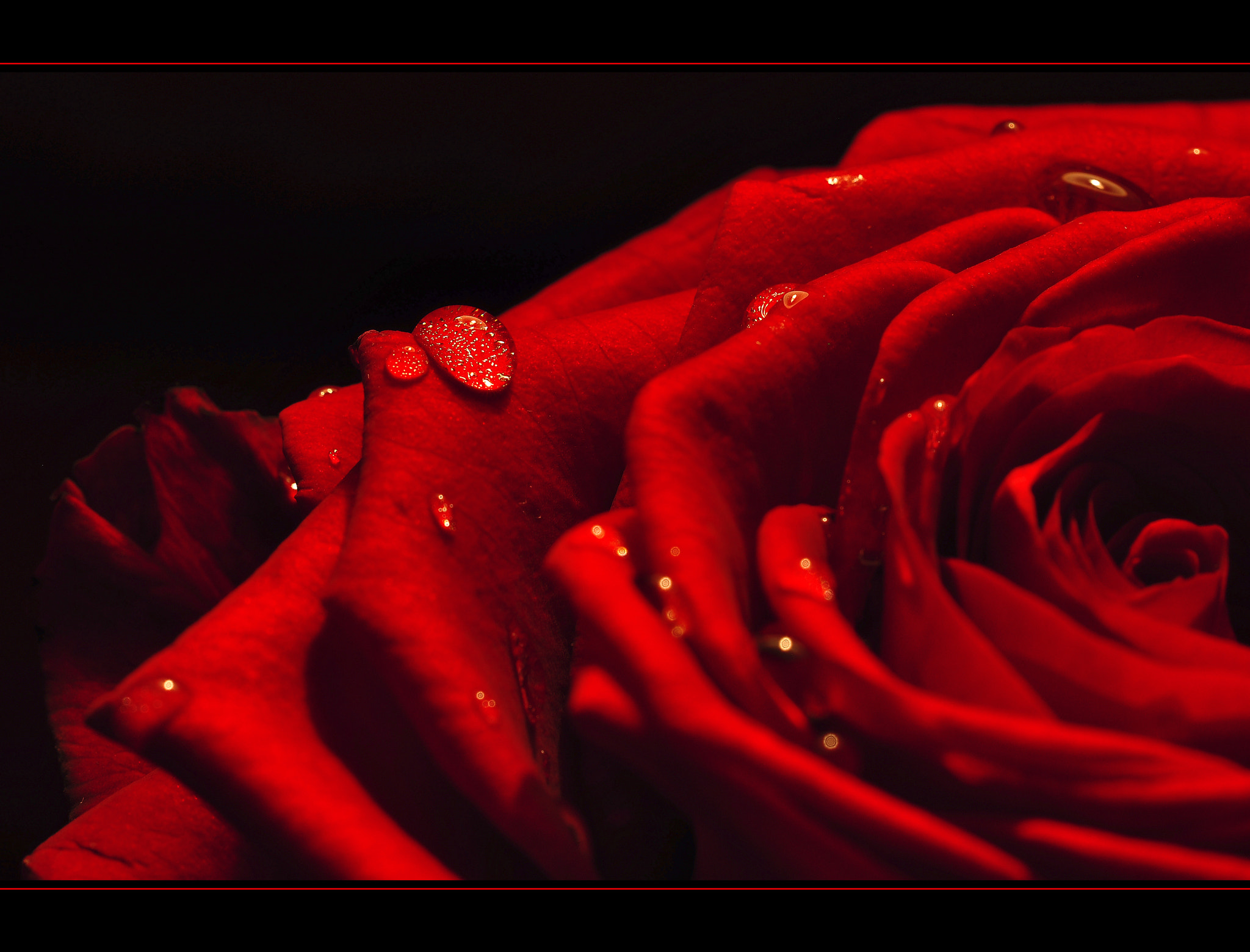 Sigma 150mm F2.8 EX DG Macro HSM sample photo. Little drops photography