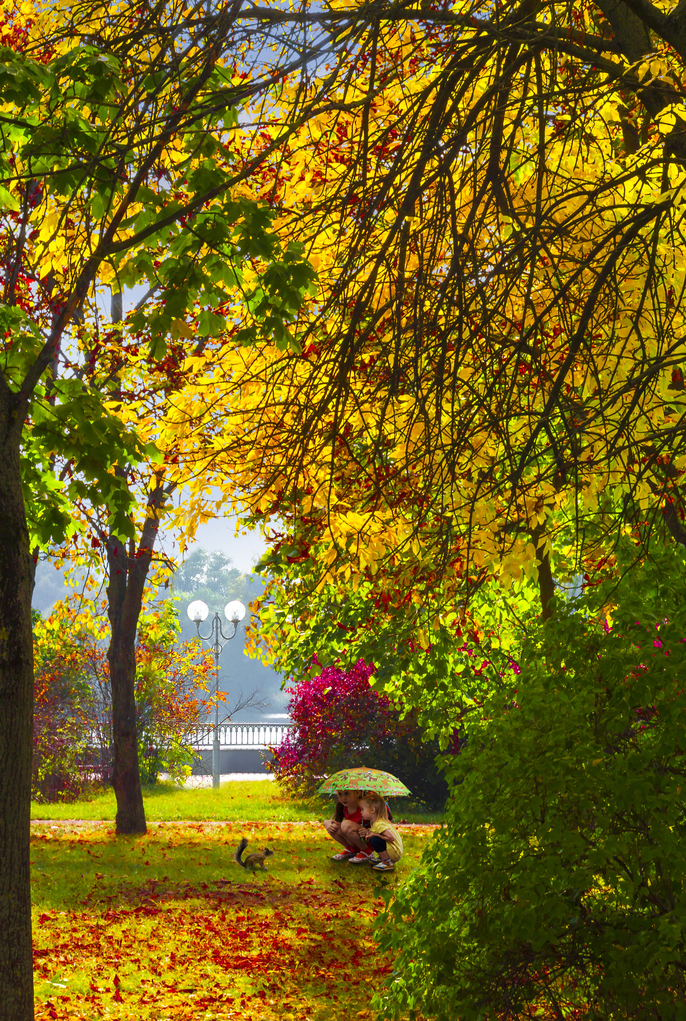 Canon EF 75-300mm F4.0-5.6 IS USM sample photo. Red autumn came. photography