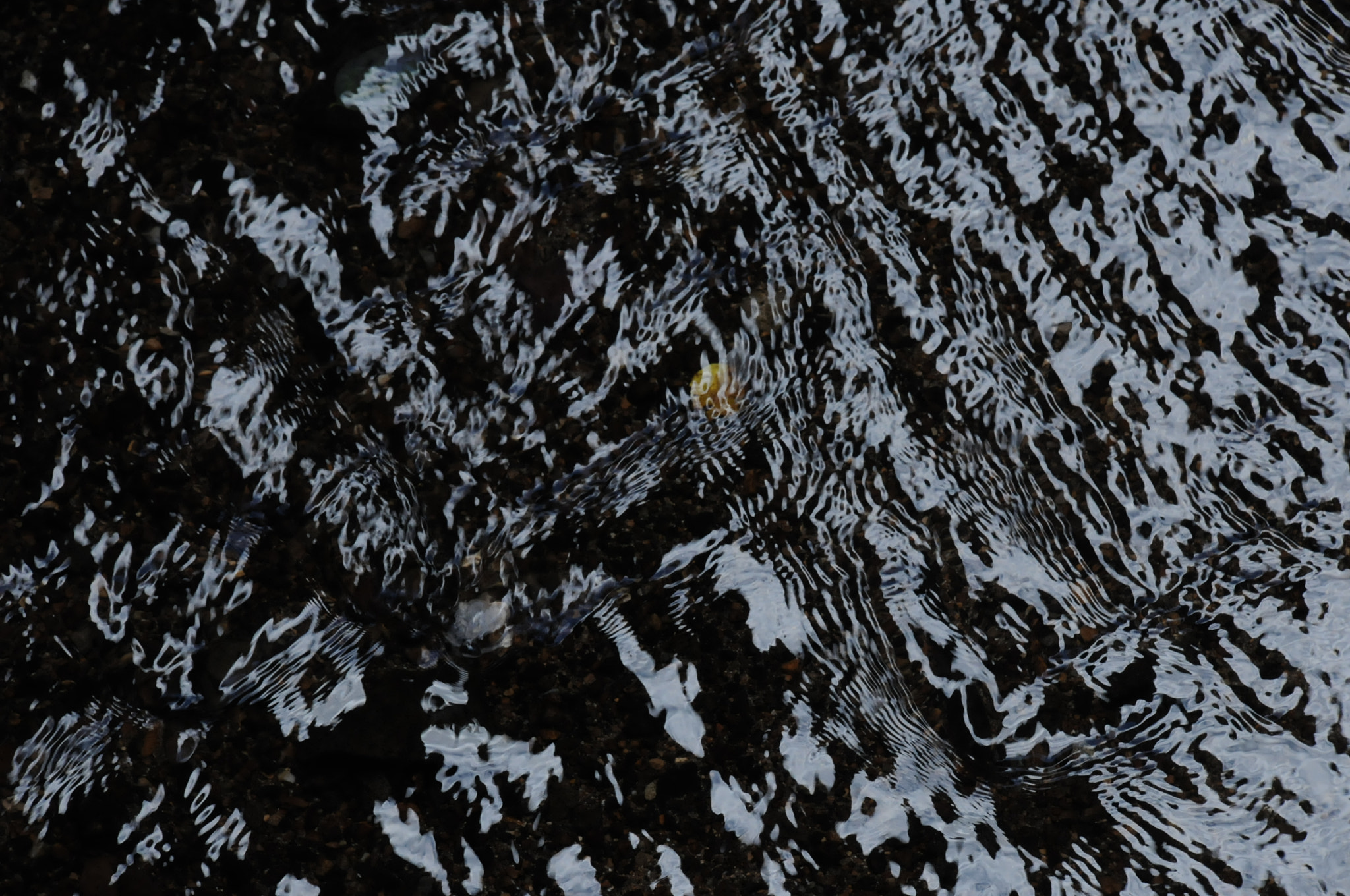 Nikon D300S sample photo. Water photography