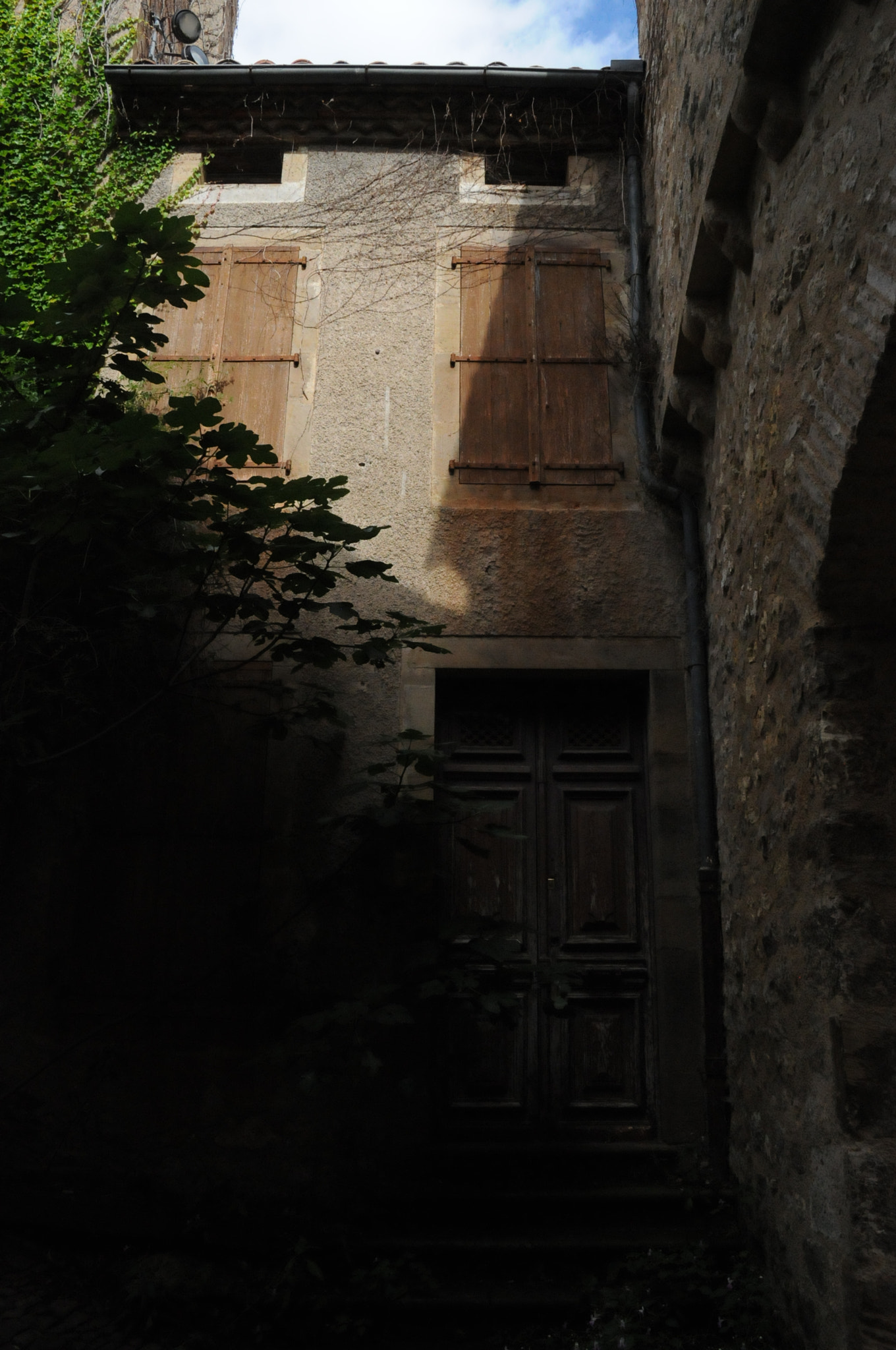 Nikon D300S sample photo