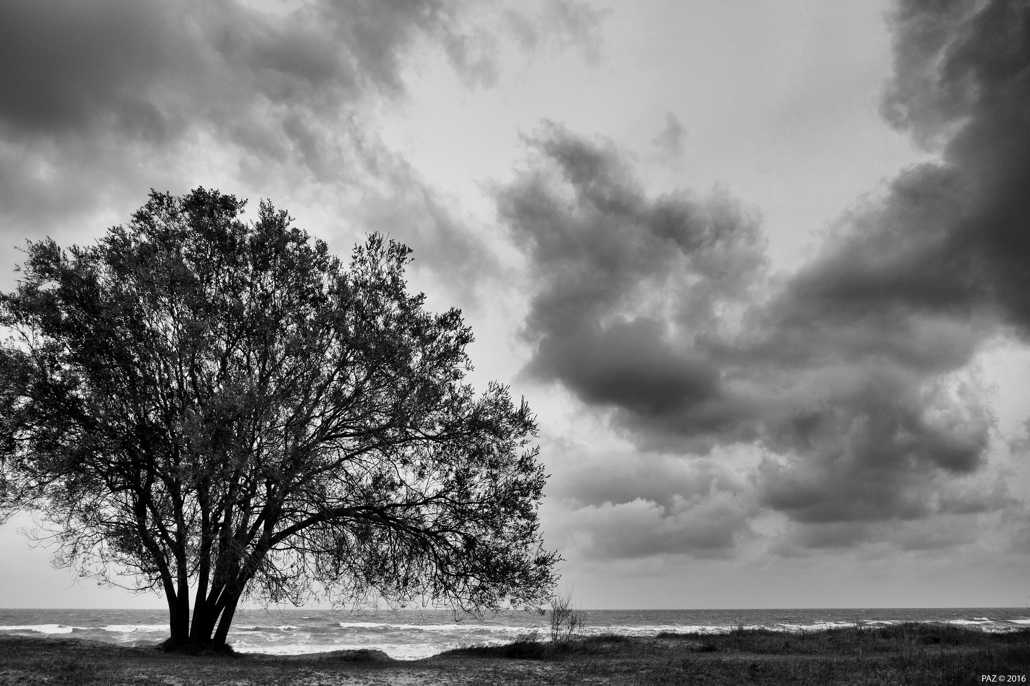 Olympus OM-D E-M10 + Panasonic Lumix G 14mm F2.5 ASPH sample photo. Silent... photography