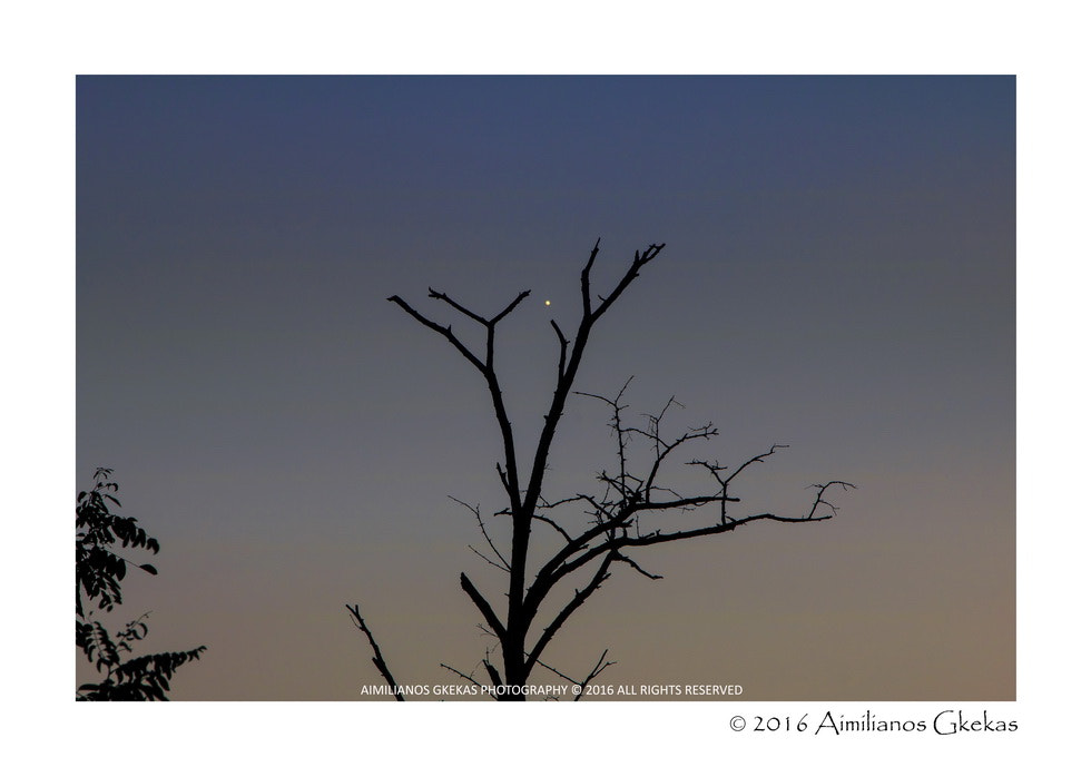 Canon EOS 760D (EOS Rebel T6s / EOS 8000D) sample photo. Saturn after sunset photography