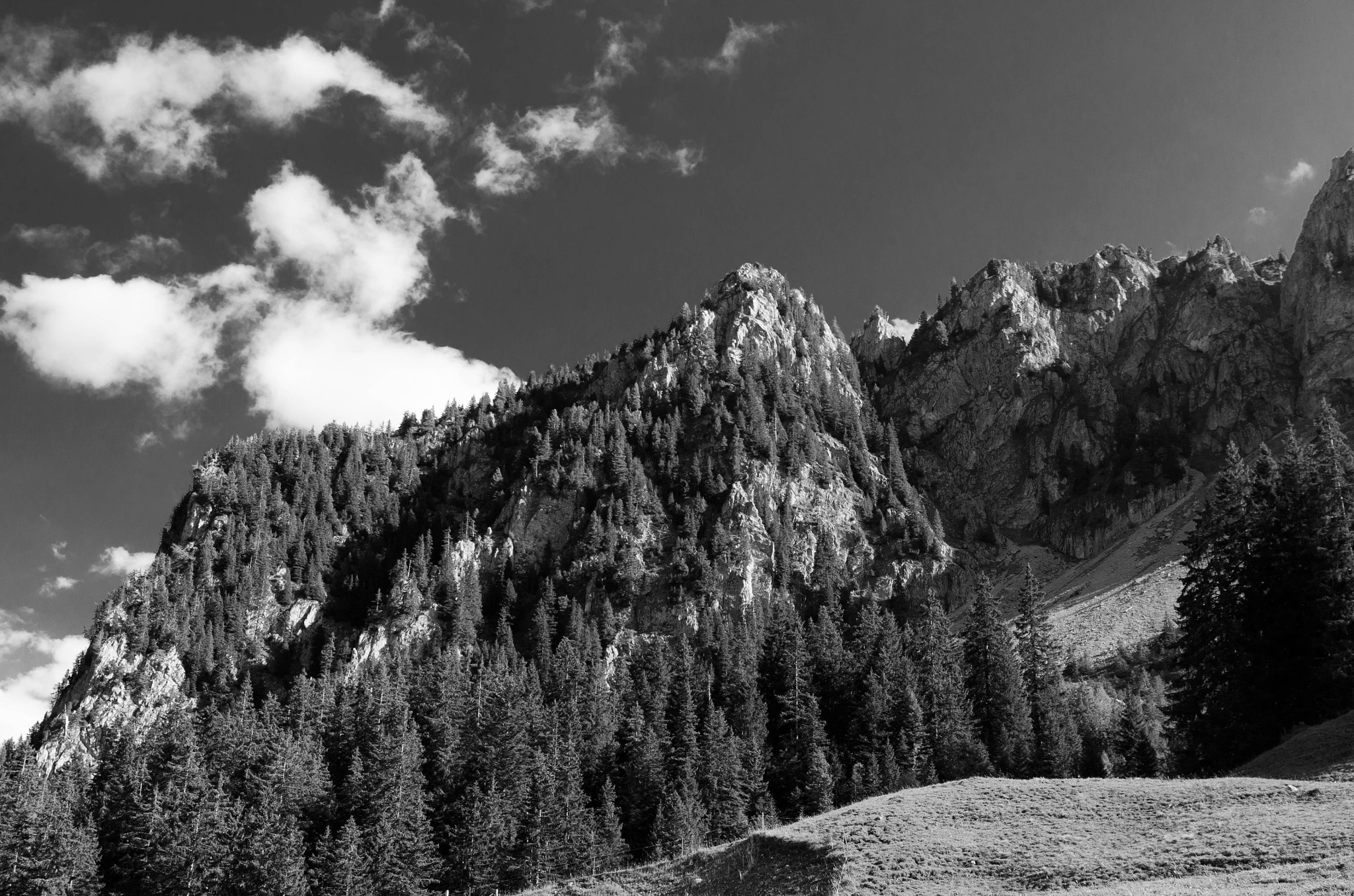 Nikon D5100 + Nikon AF-S DX Nikkor 17-55mm F2.8G ED-IF sample photo. Swiss  alps in black and white photography