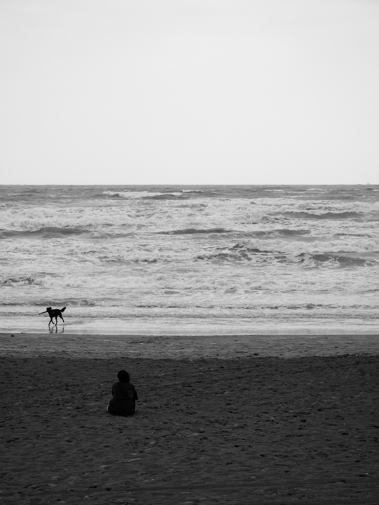 OLYMPUS M.14-150mm F4.0-5.6 II sample photo. Riccione  photography
