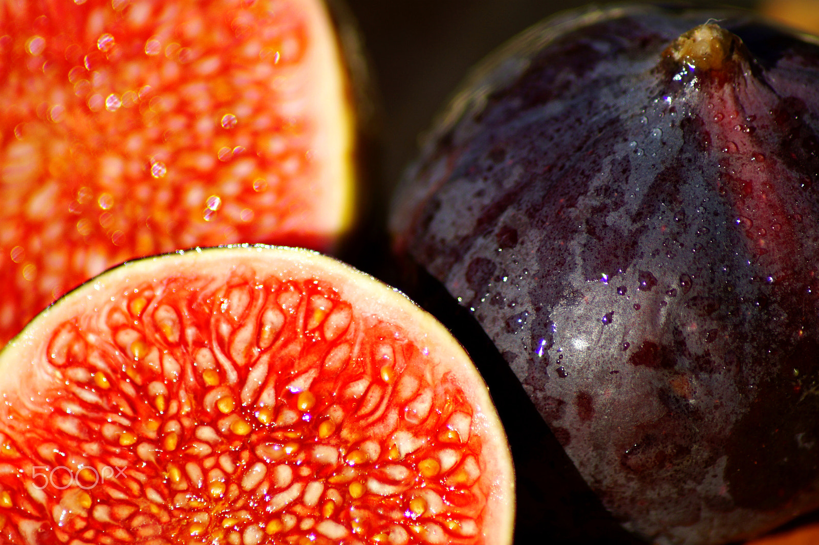 Tamron Lens (255) sample photo. Figs photography
