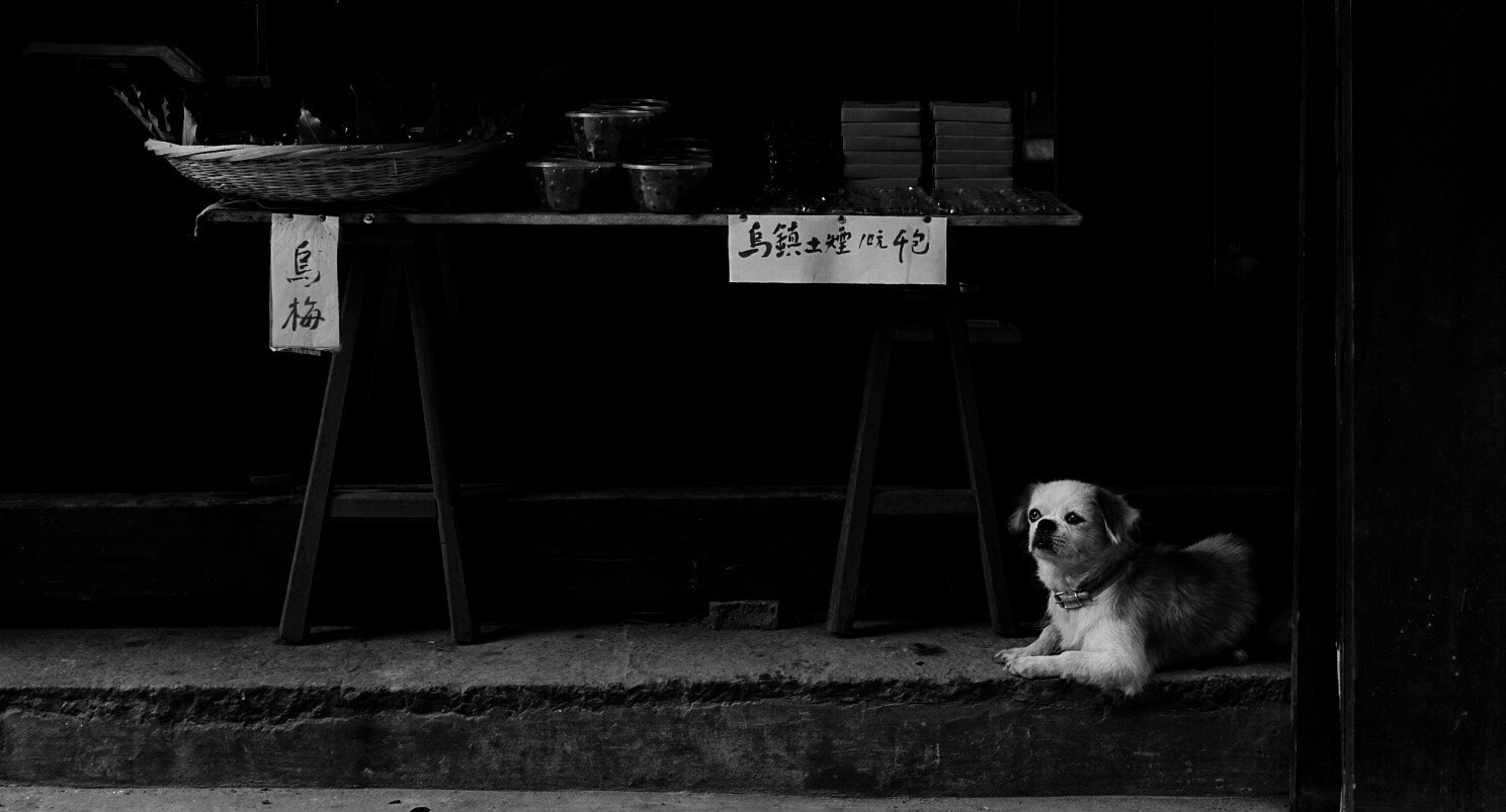 Sony Cyber-shot DSC-RX10 III sample photo. Wuzhen china photography