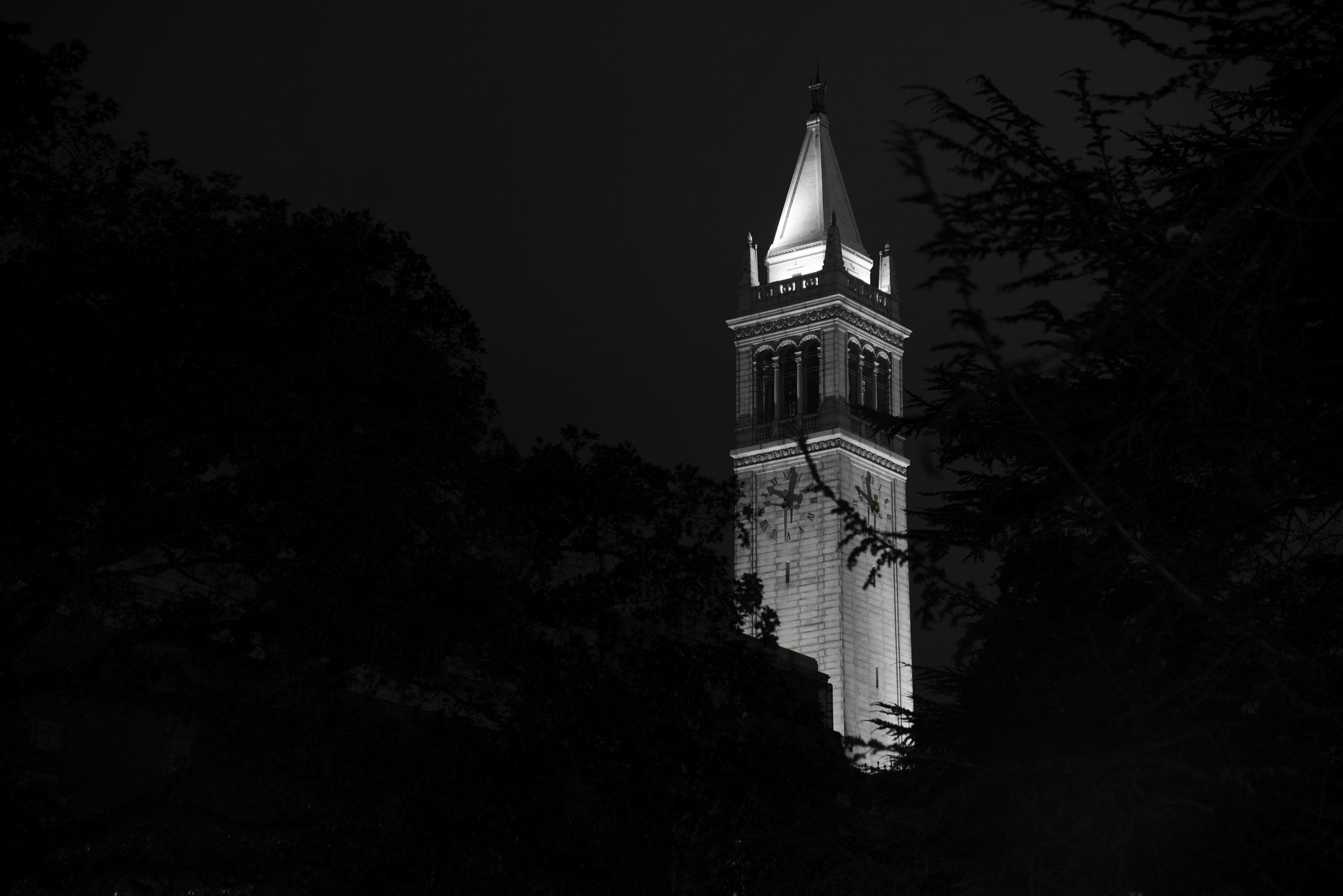 v2?sig=d1010fb209be3e18499cdef44ce43a3d99db7a16d46ad338aaf77bb03f1634d1