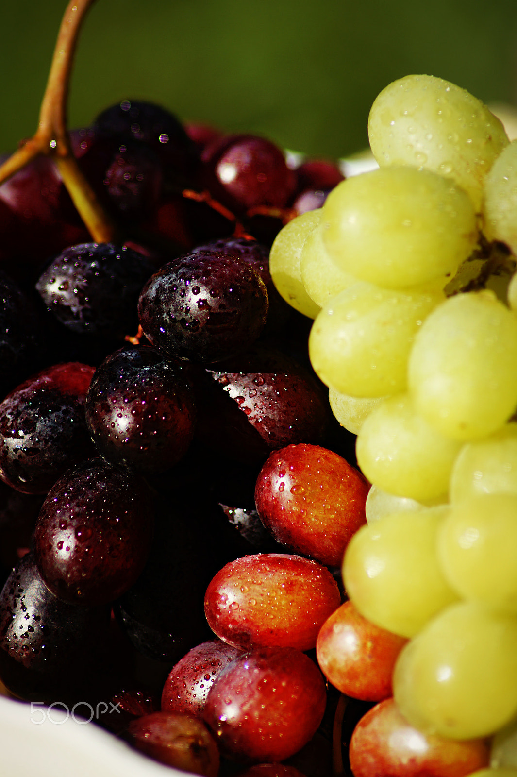 Sony SLT-A58 sample photo. Grapes photography