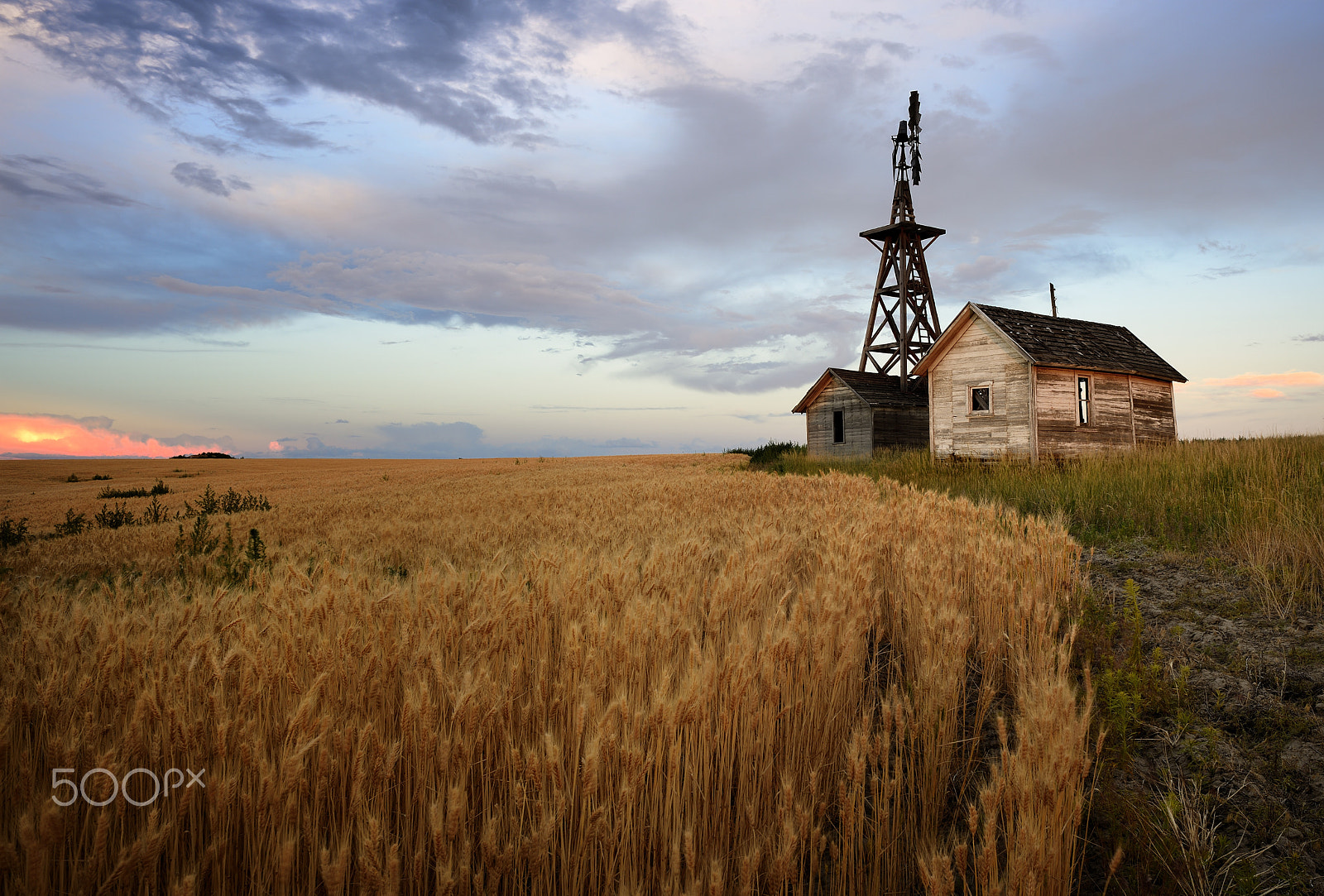 Nikon D800 + Nikon AF Nikkor 24mm F2.8D sample photo. Golden border photography