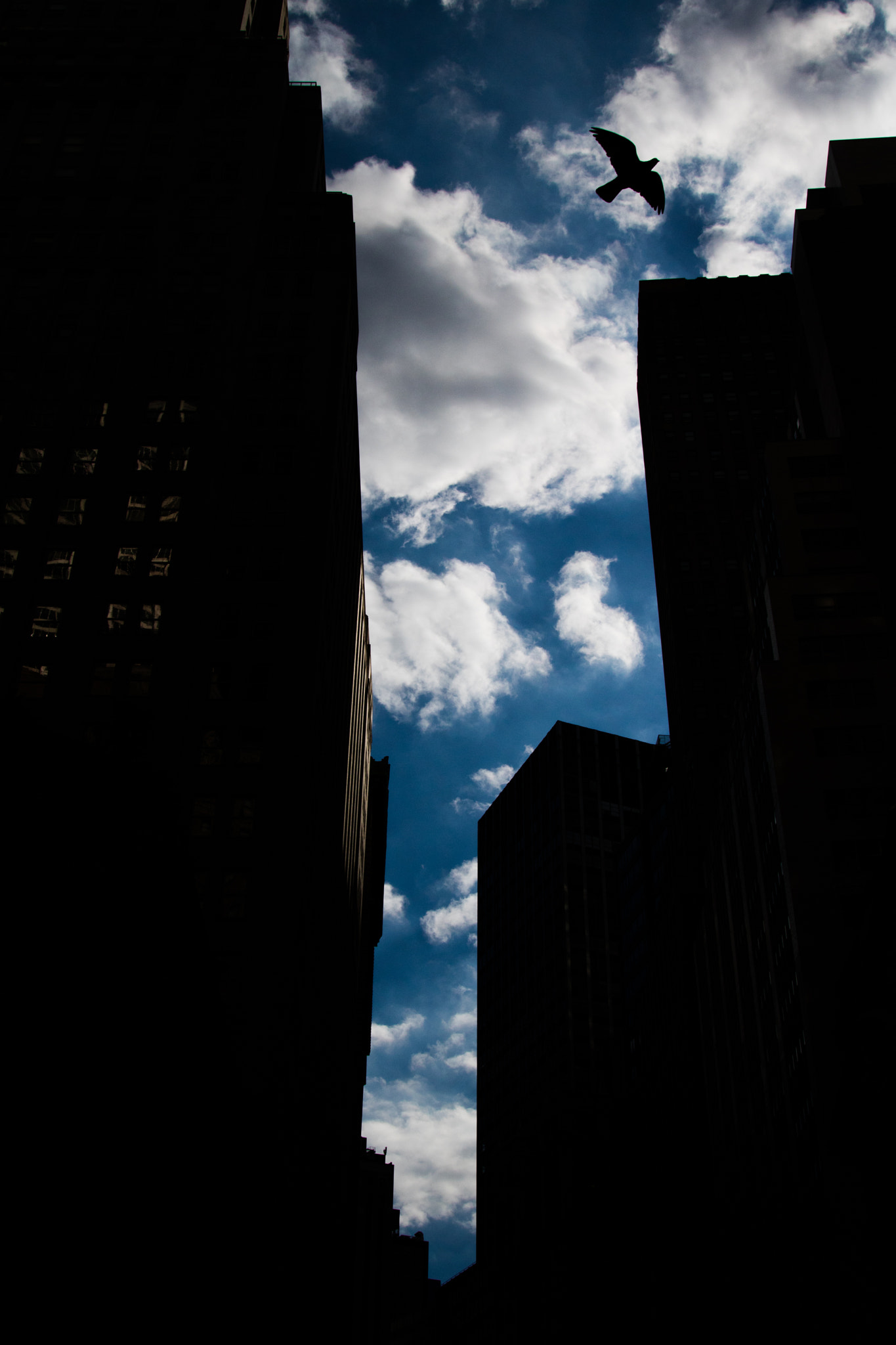 Canon EOS 760D (EOS Rebel T6s / EOS 8000D) sample photo. Wall street, new york city photography