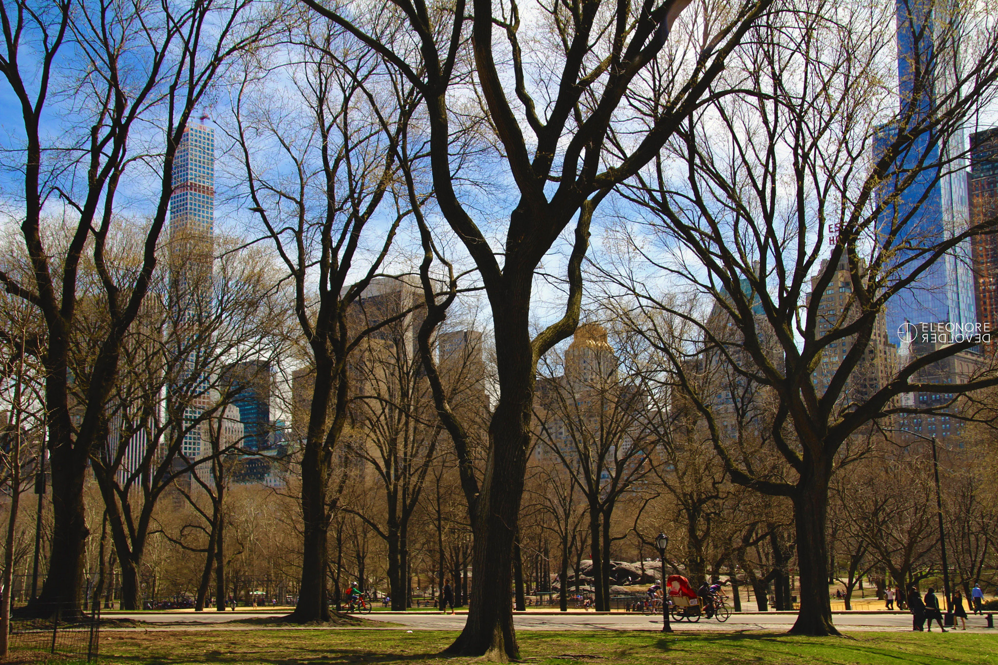 Sigma 18-250mm F3.5-6.3 DC OS HSM sample photo. Central park photography
