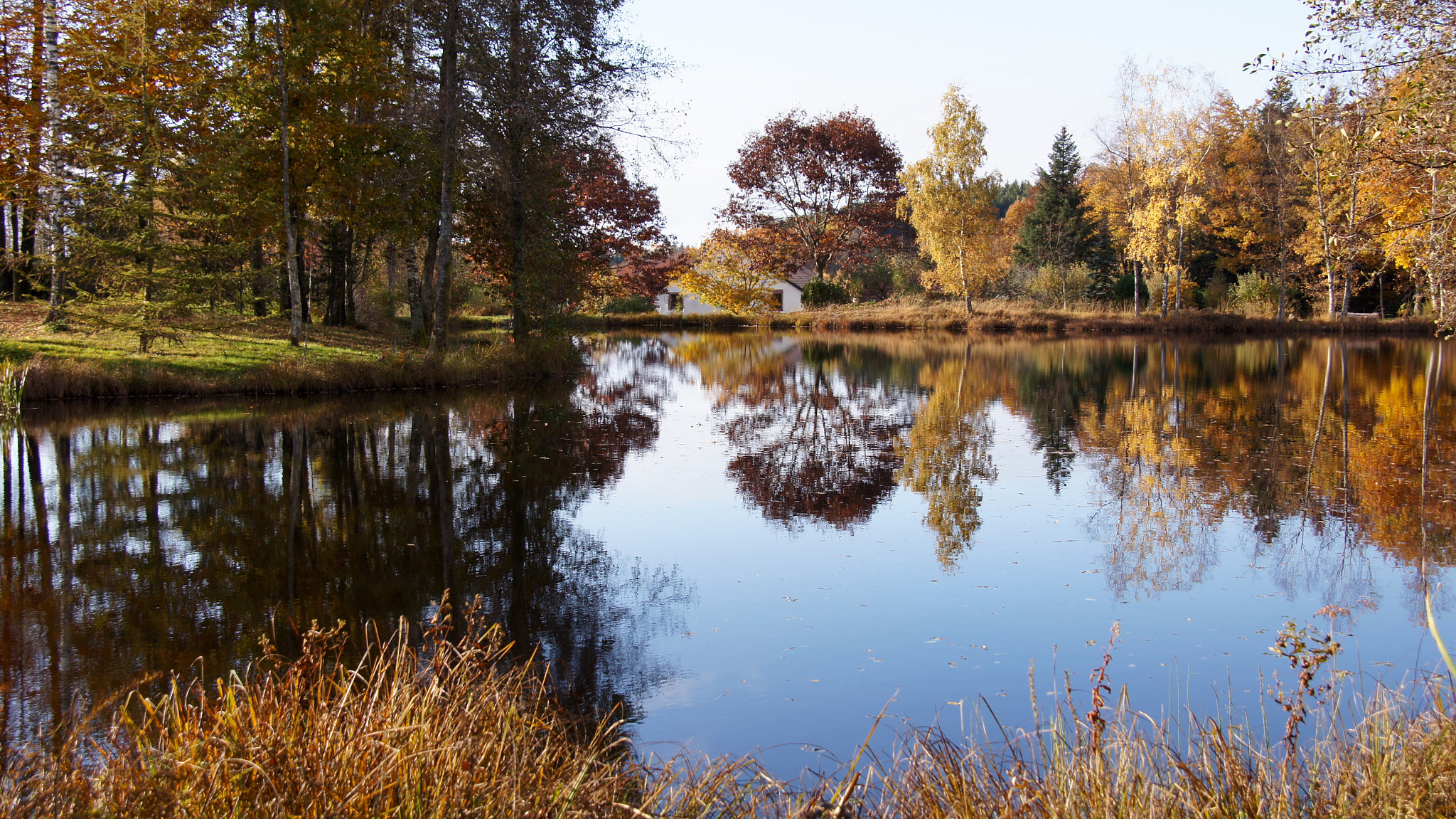 Sony SLT-A55 (SLT-A55V) sample photo. Automne aux 1000 étangs photography