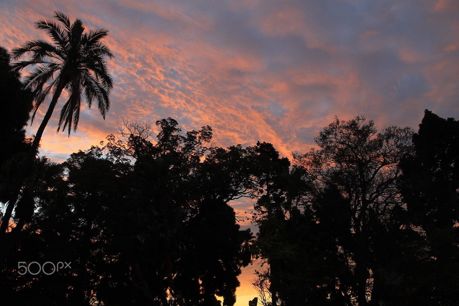 Canon EF-S 17-55mm F2.8 IS USM sample photo. Madeira island photography