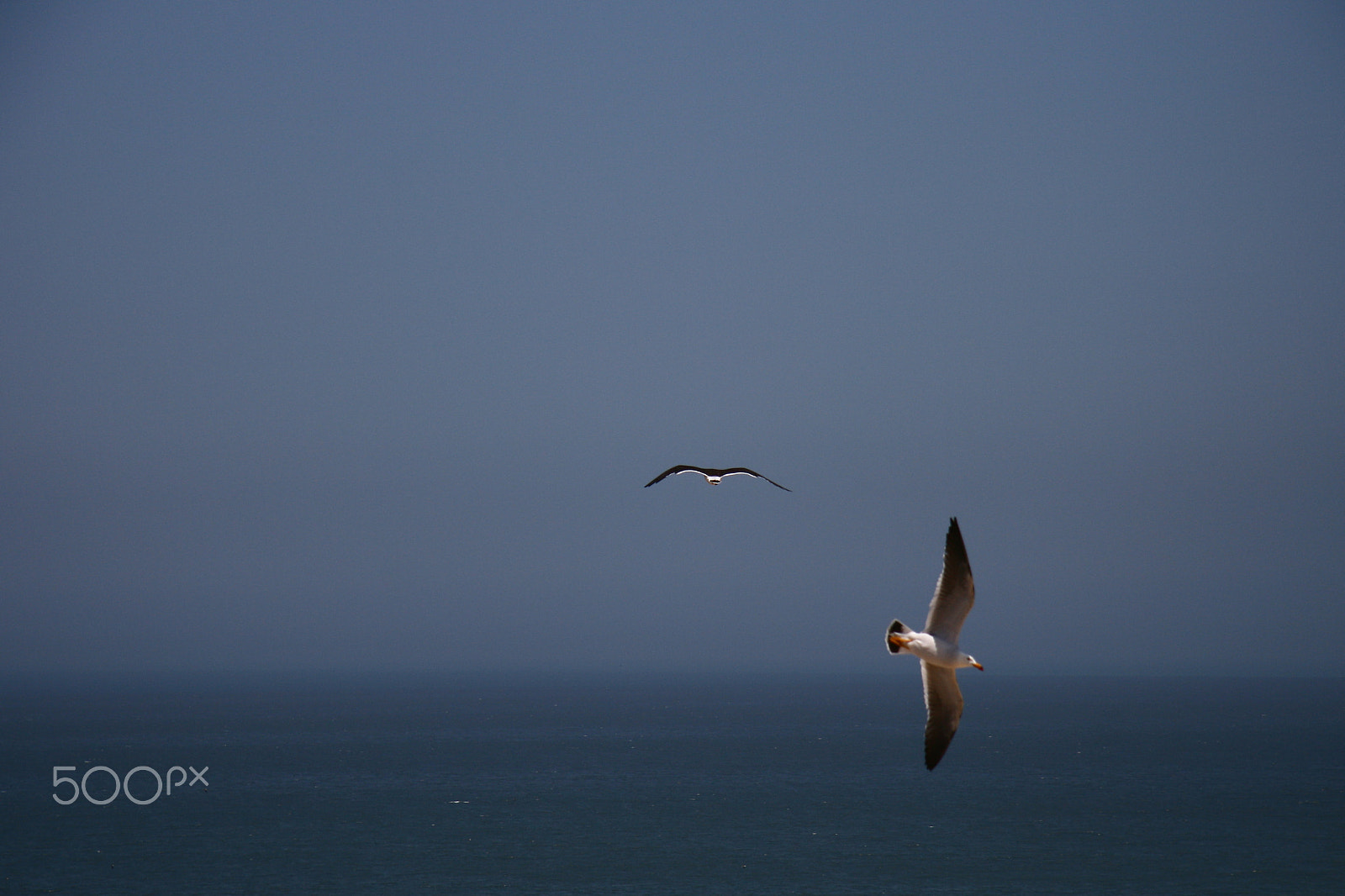 Canon EF-S 17-85mm F4-5.6 IS USM sample photo. Img photography