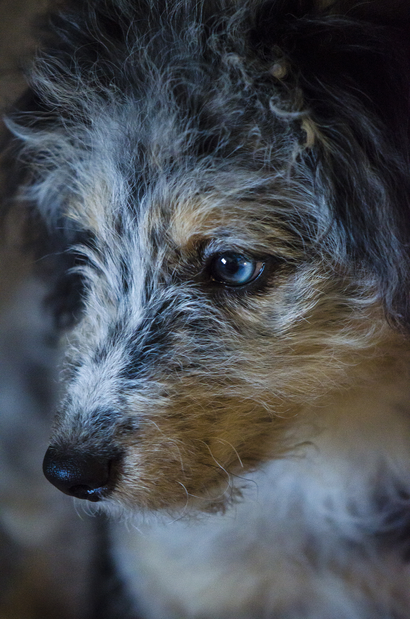 Nikon AF-S DX Micro-Nikkor 85mm F3.5G ED VR sample photo. Dsc photography