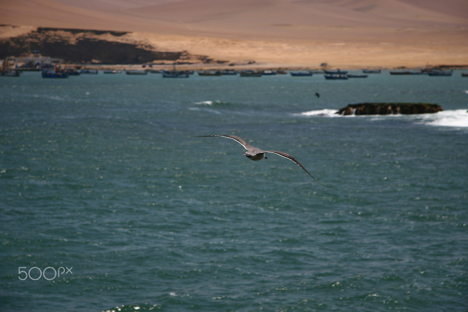Canon EF-S 17-85mm F4-5.6 IS USM sample photo. Img photography
