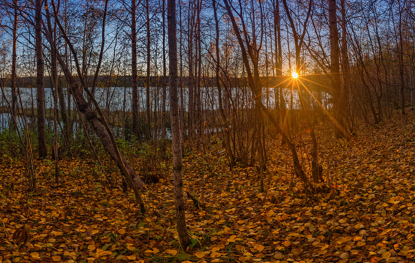 Pentax smc DA 15mm F4 ED AL Limited sample photo. Золотая осень photography
