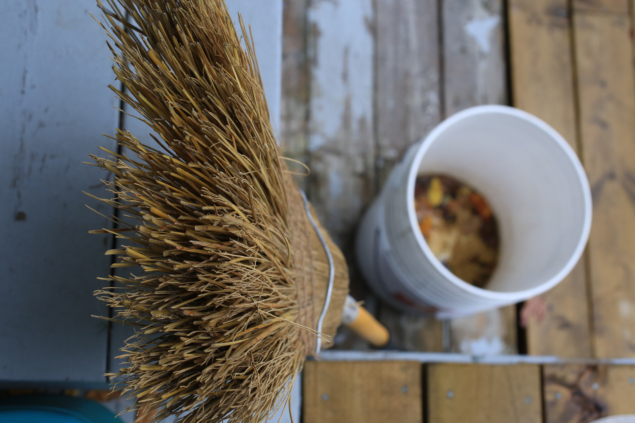 Canon EOS 6D + Canon EF 50mm F2.5 Macro sample photo. A broom photography