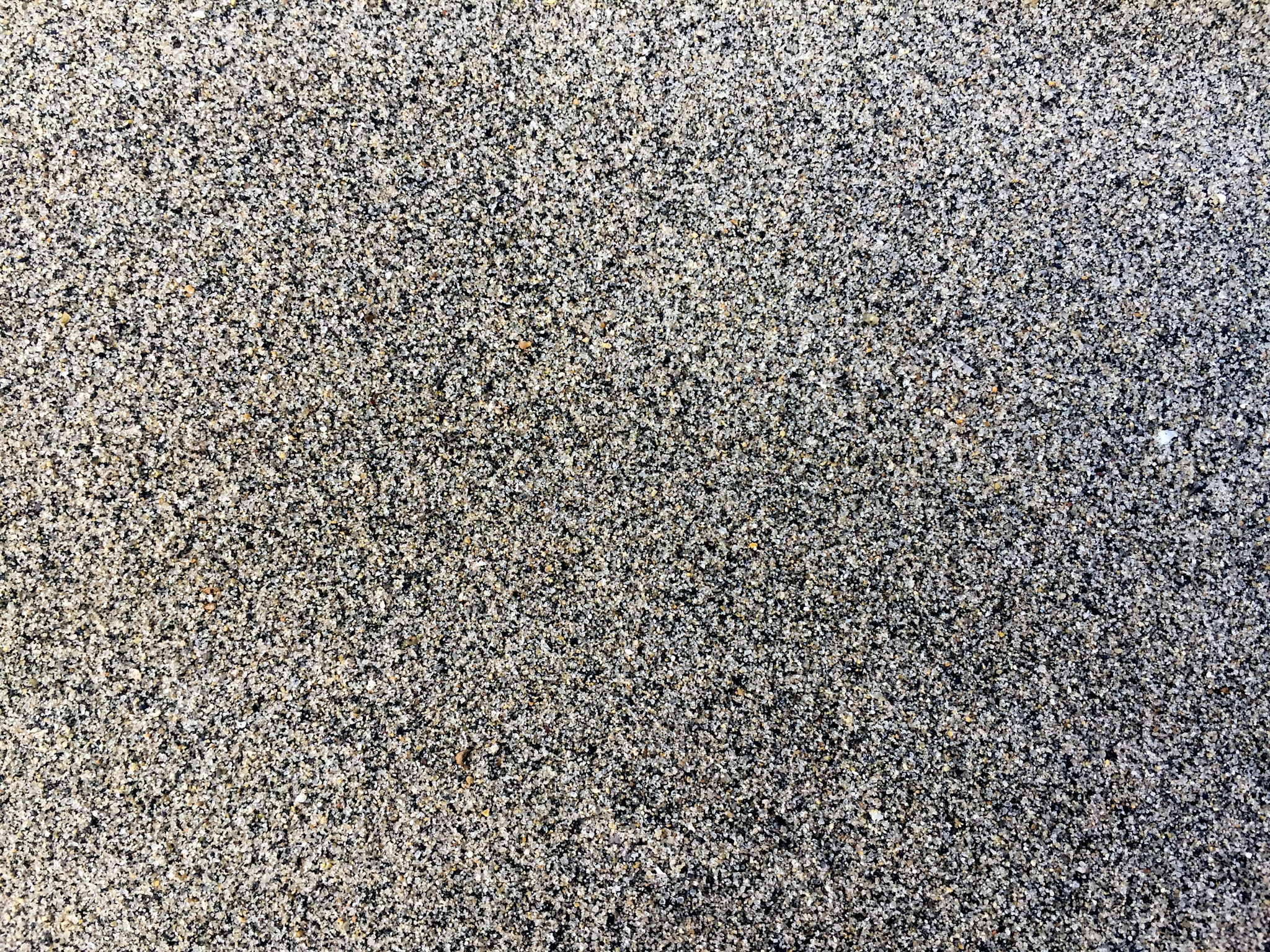 Apple iPhone7,2 sample photo. Sand and sea photography