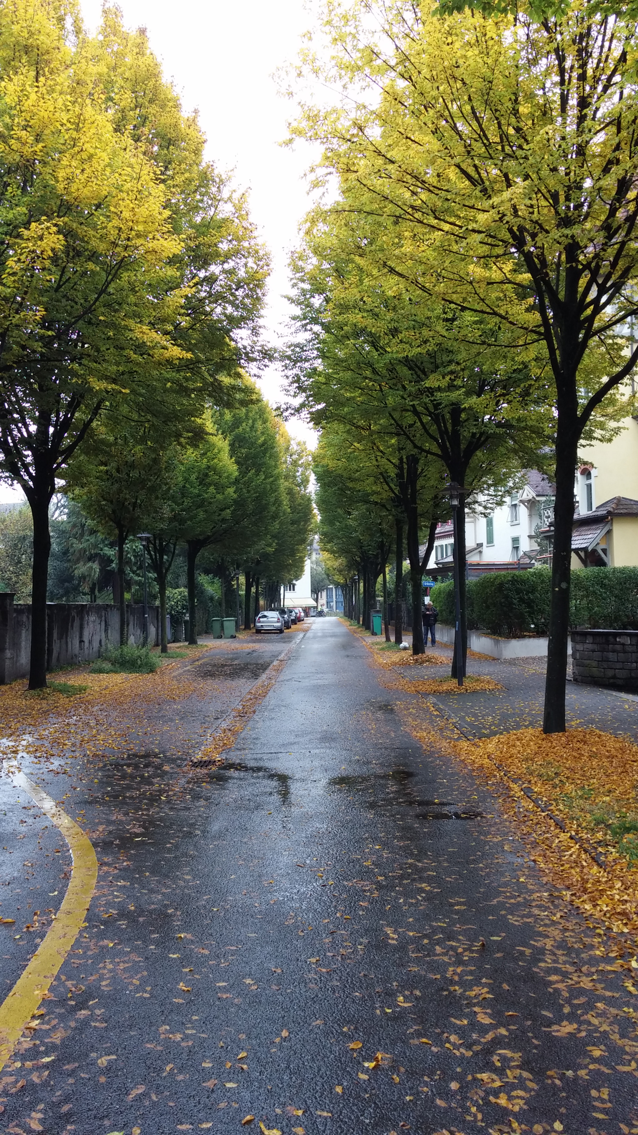 LG G FLEX sample photo. Autumn street photography