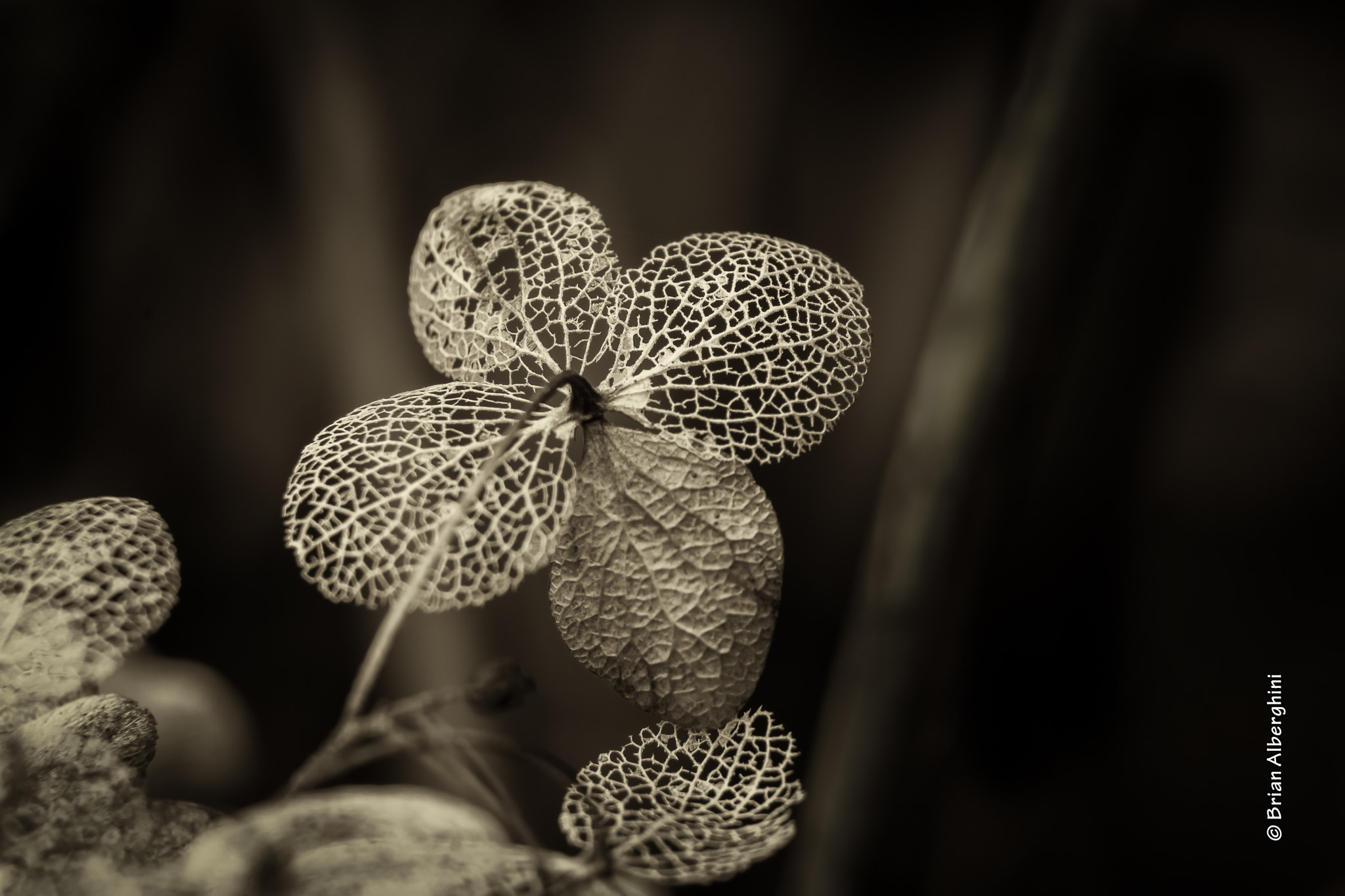 Nikon D7100 + Sigma 24-105mm F4 DG OS HSM Art sample photo. Stages photography