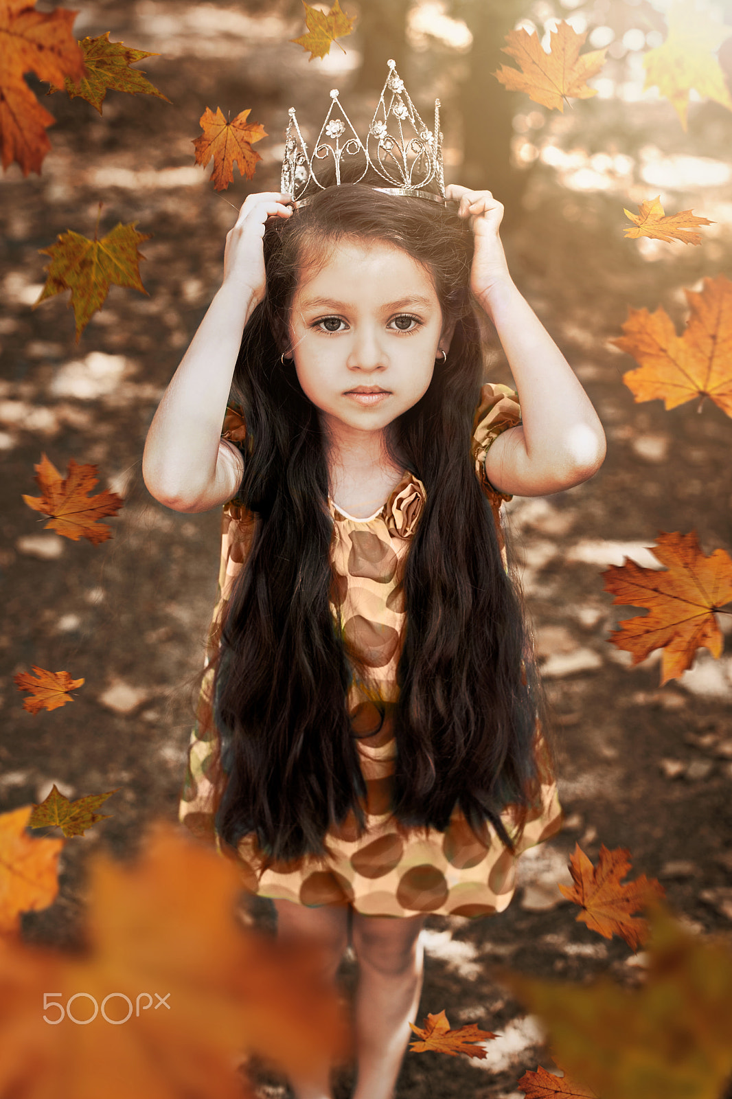 Canon EOS 5DS R + Canon EF 50mm F1.2L USM sample photo. Queen photography