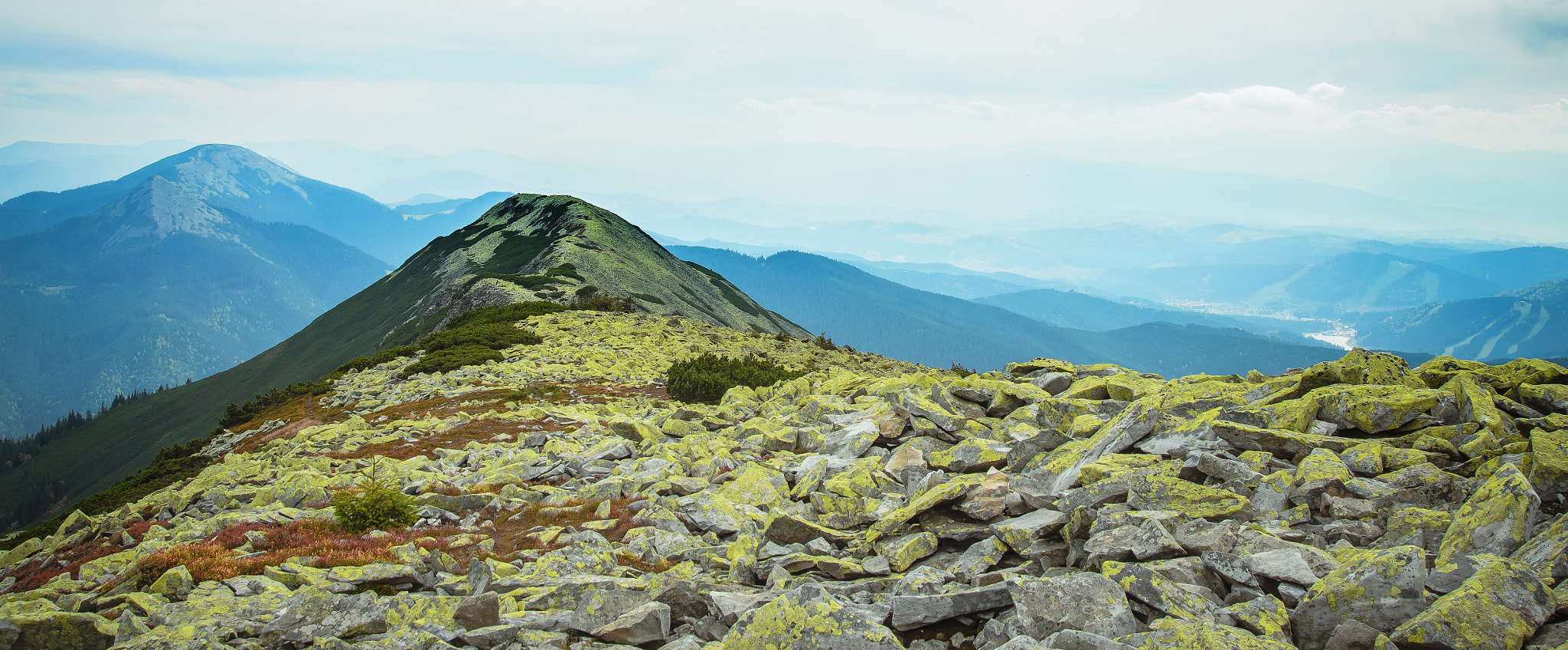 Nikon AF Nikkor 24-85mm F2.8-4D IF sample photo. Sev_4033-7.jpg photography