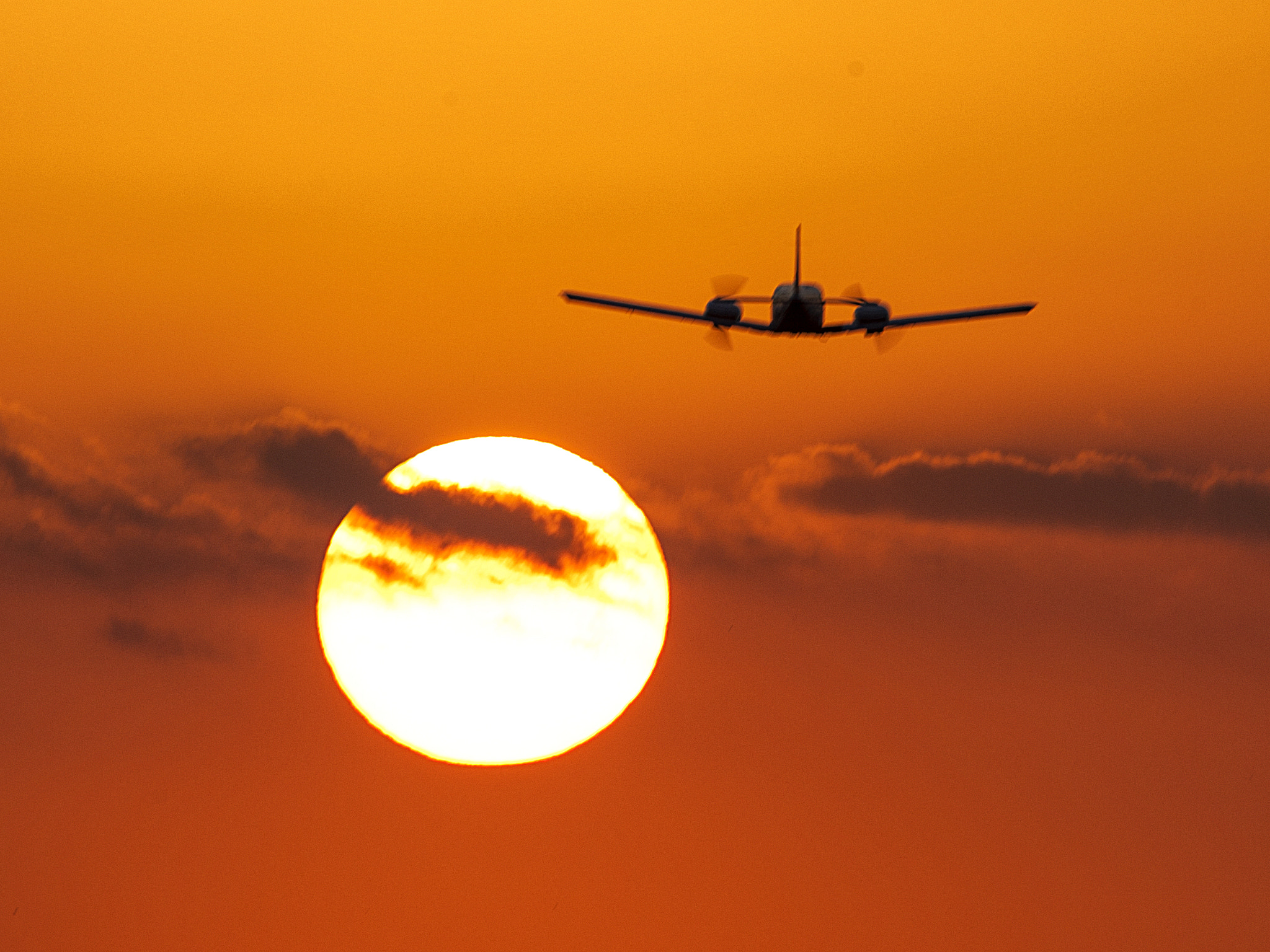 Sigma 150-600mm F5-6.3 DG OS HSM | C sample photo. Flight to the sunset photography