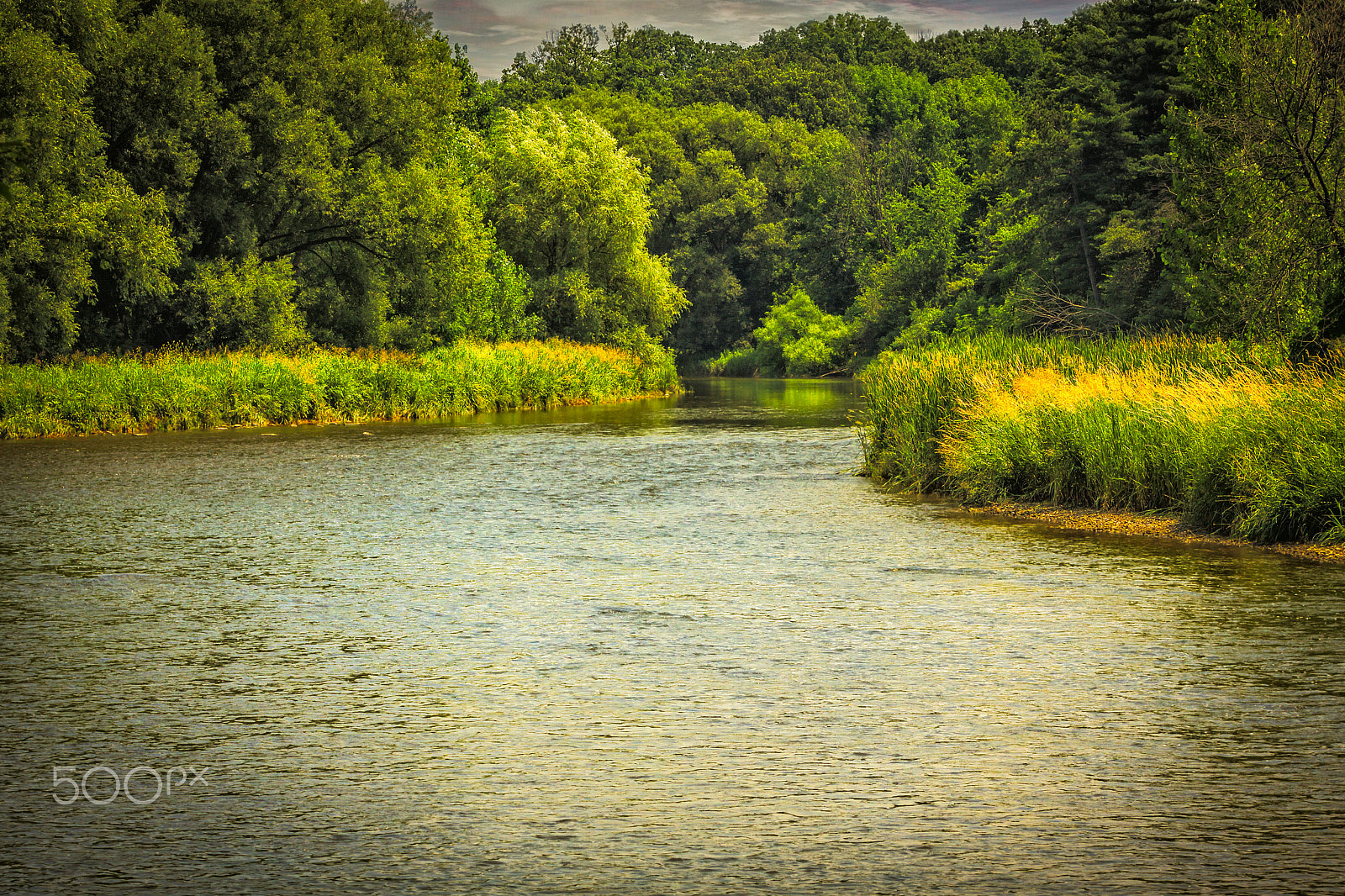 Canon EF 70-200mm F2.8L IS USM sample photo. Down stream photography