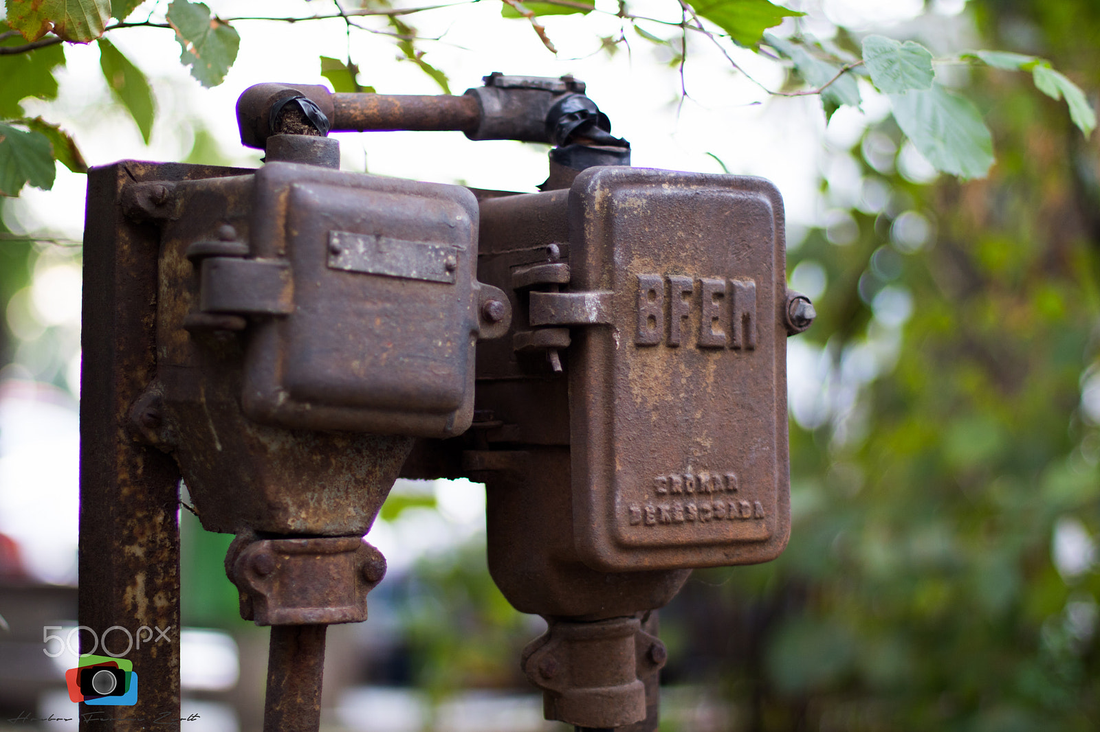 Canon EOS 750D (EOS Rebel T6i / EOS Kiss X8i) + Canon EF 50mm F1.4 USM sample photo. Pict photography