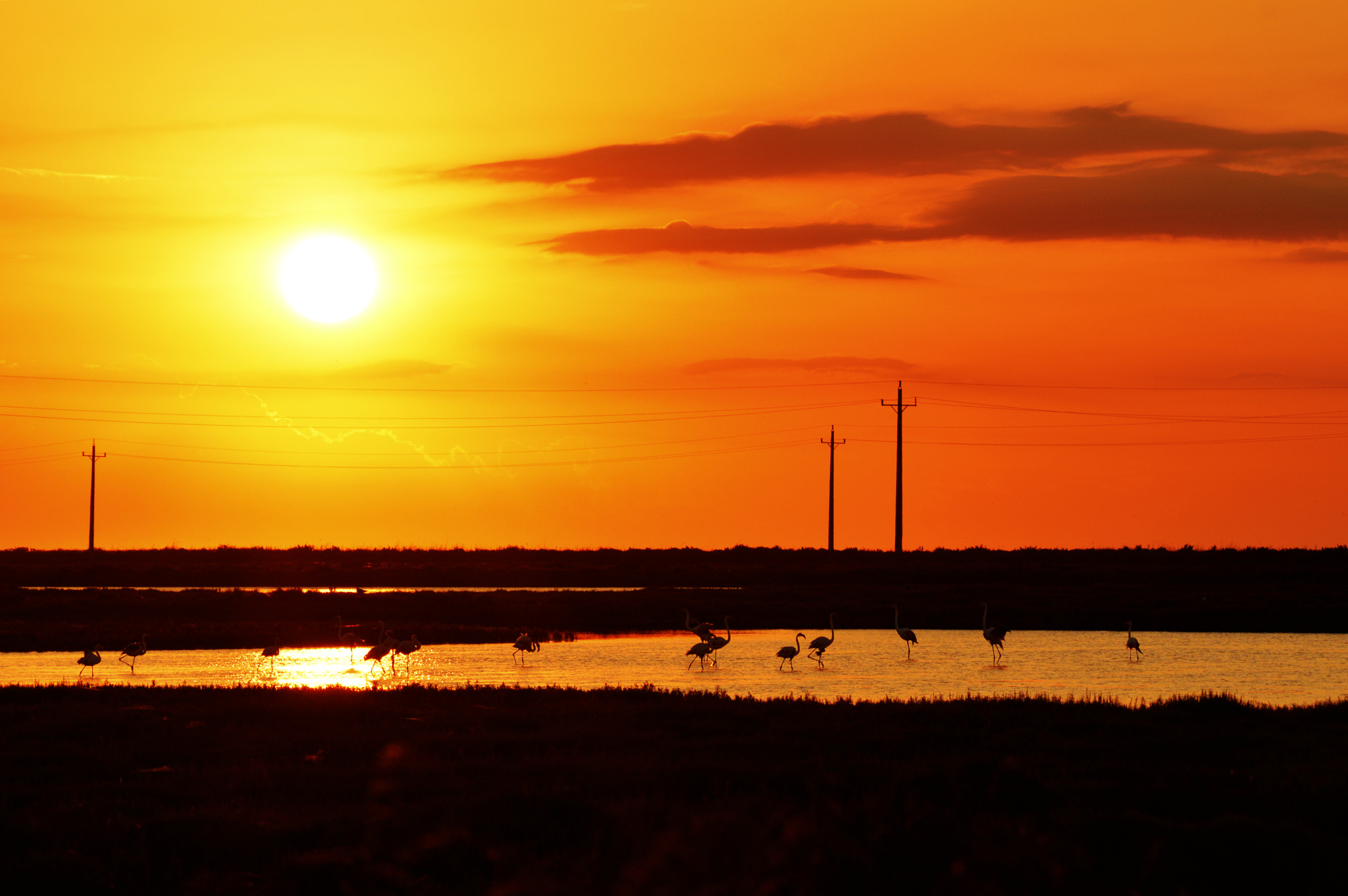 AF Zoom-Nikkor 35-105mm f/3.5-4.5 + 2x sample photo. Amanecer en el delta photography