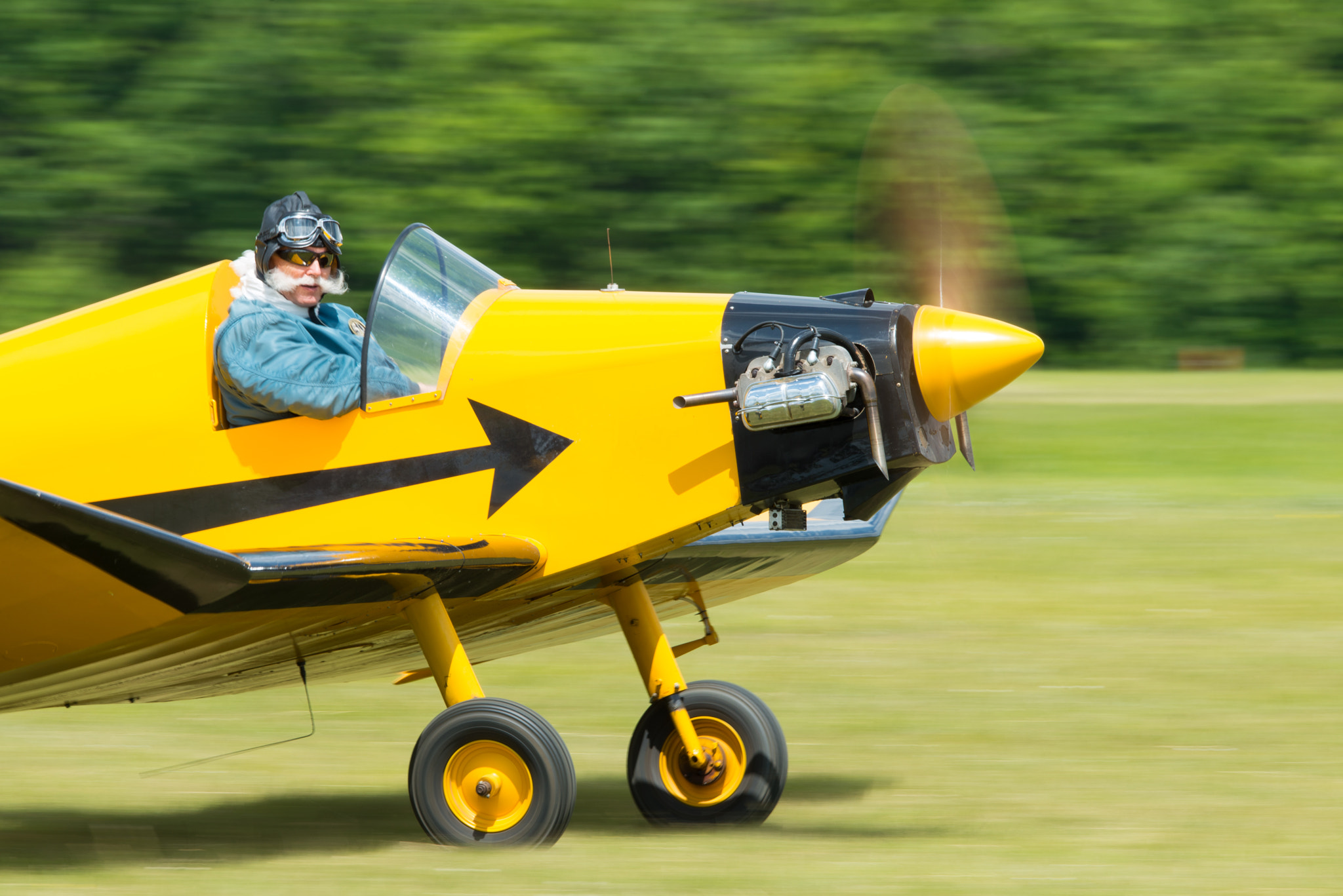 Nikon D800E sample photo. Bébé jodel taxiing on grass strip photography