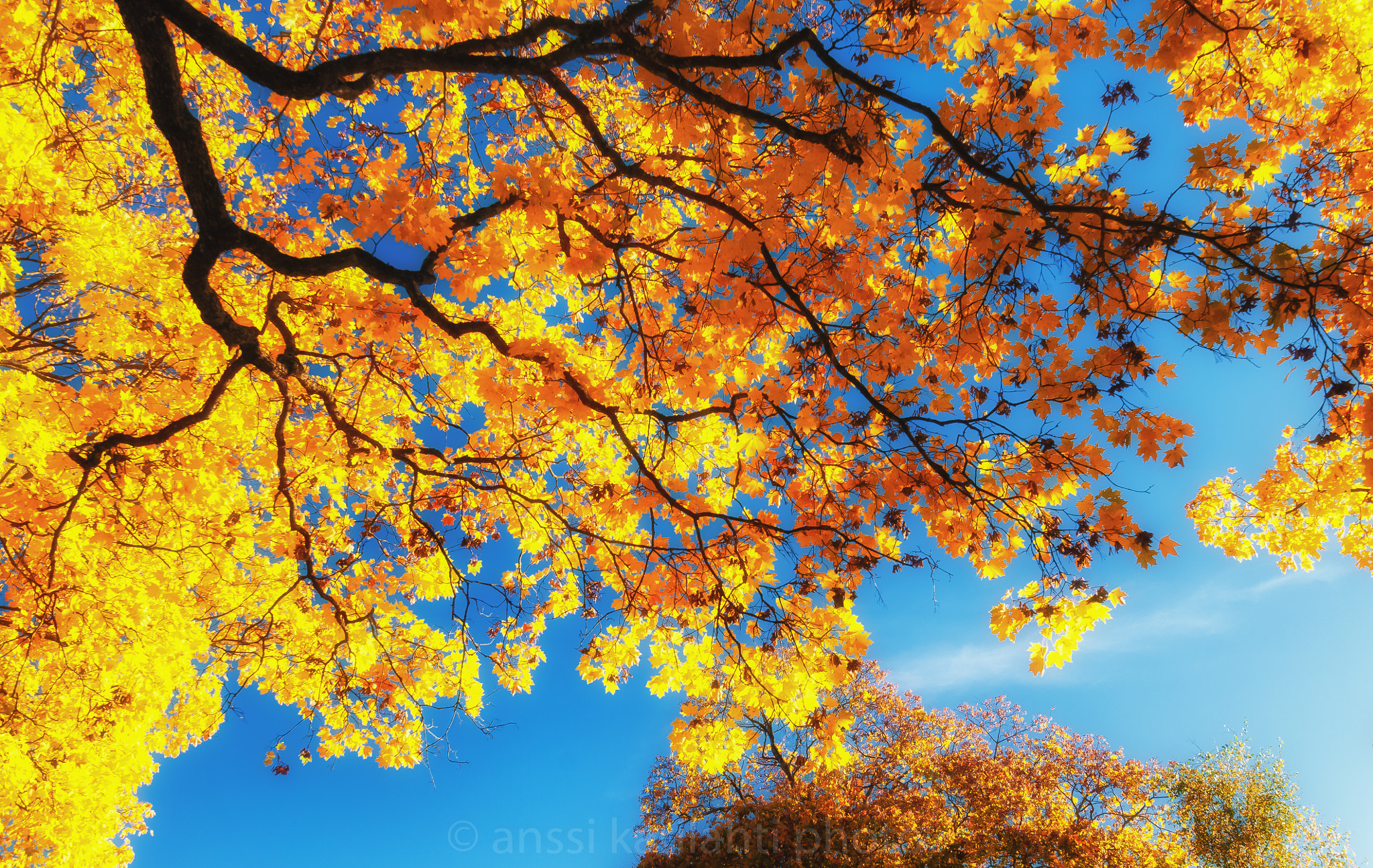 Nikon D300 sample photo. Fall colors photography