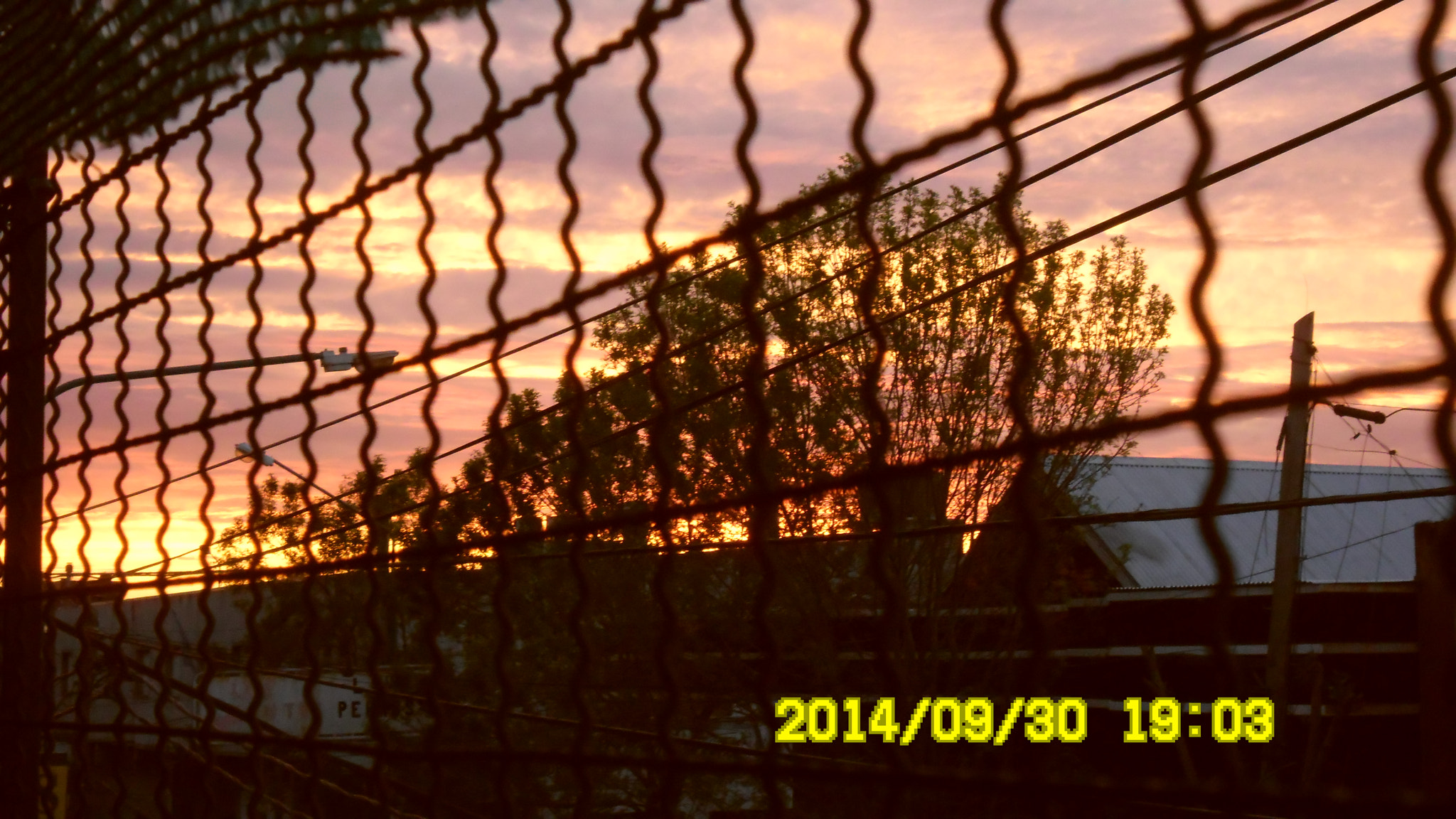 Samsung ES80/ ES81 sample photo. Afternoons photography
