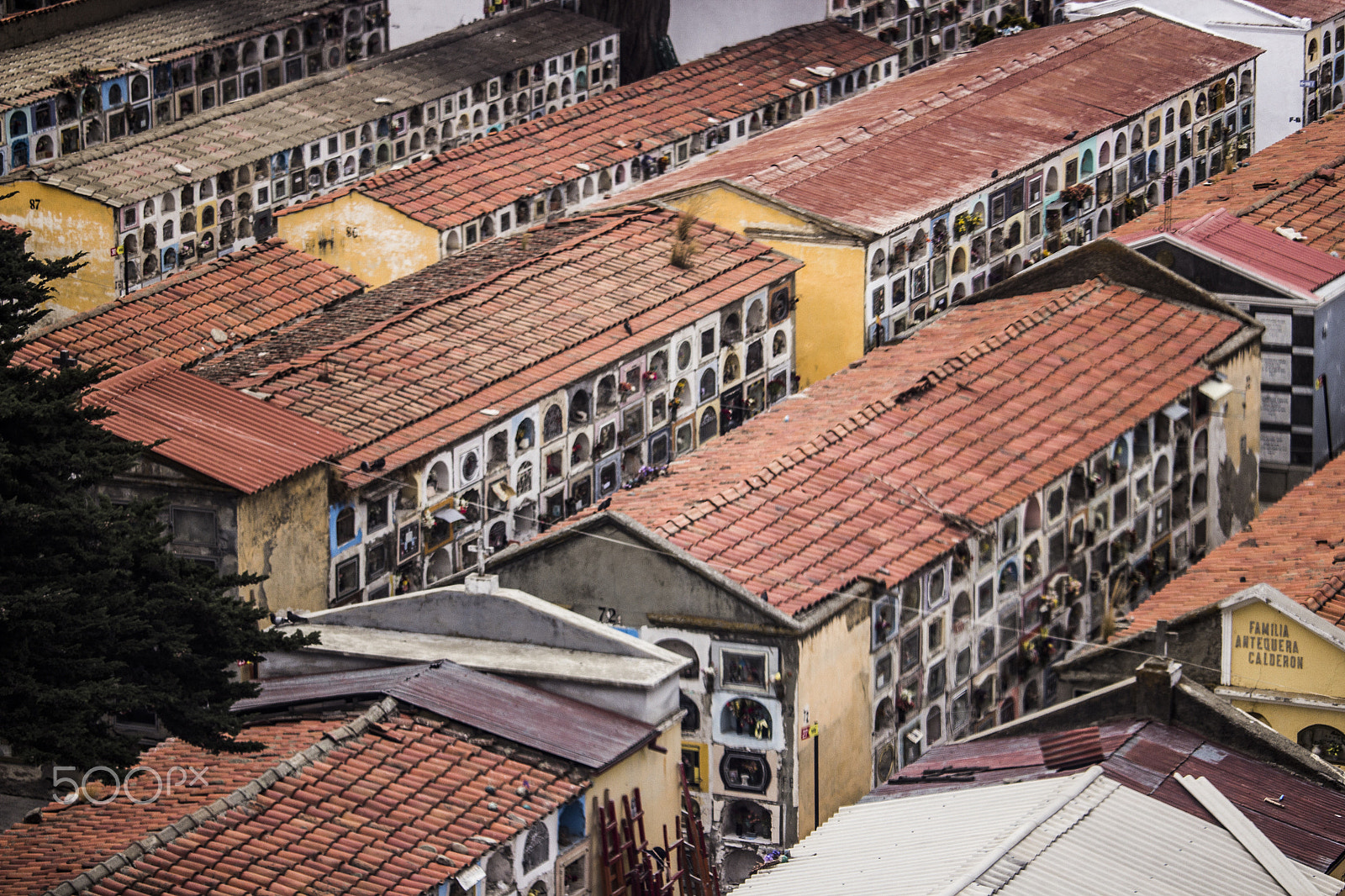 Canon EF-S 55-250mm F4-5.6 IS STM sample photo. Mosaico photography