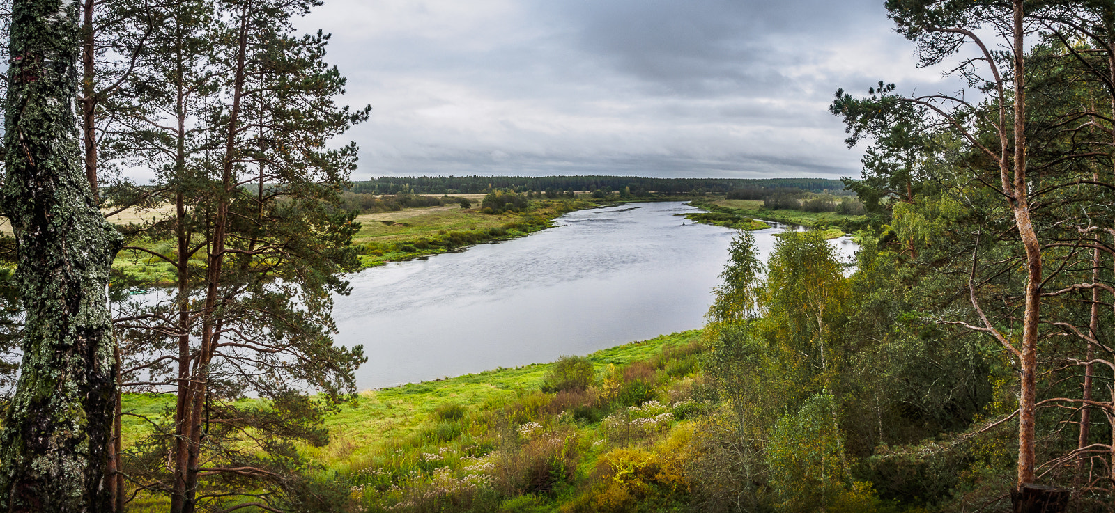 Olympus OM-D E-M10 sample photo. View of the volga photography
