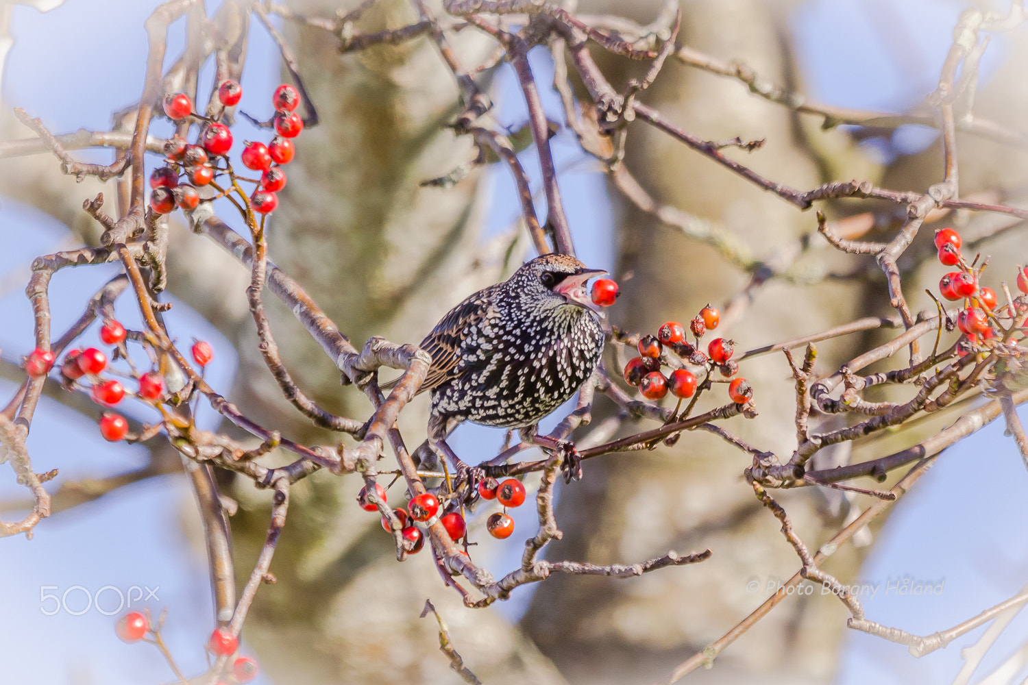 Canon EOS 6D + Canon EF 70-200mm F2.8L IS II USM sample photo. In the moment. photography