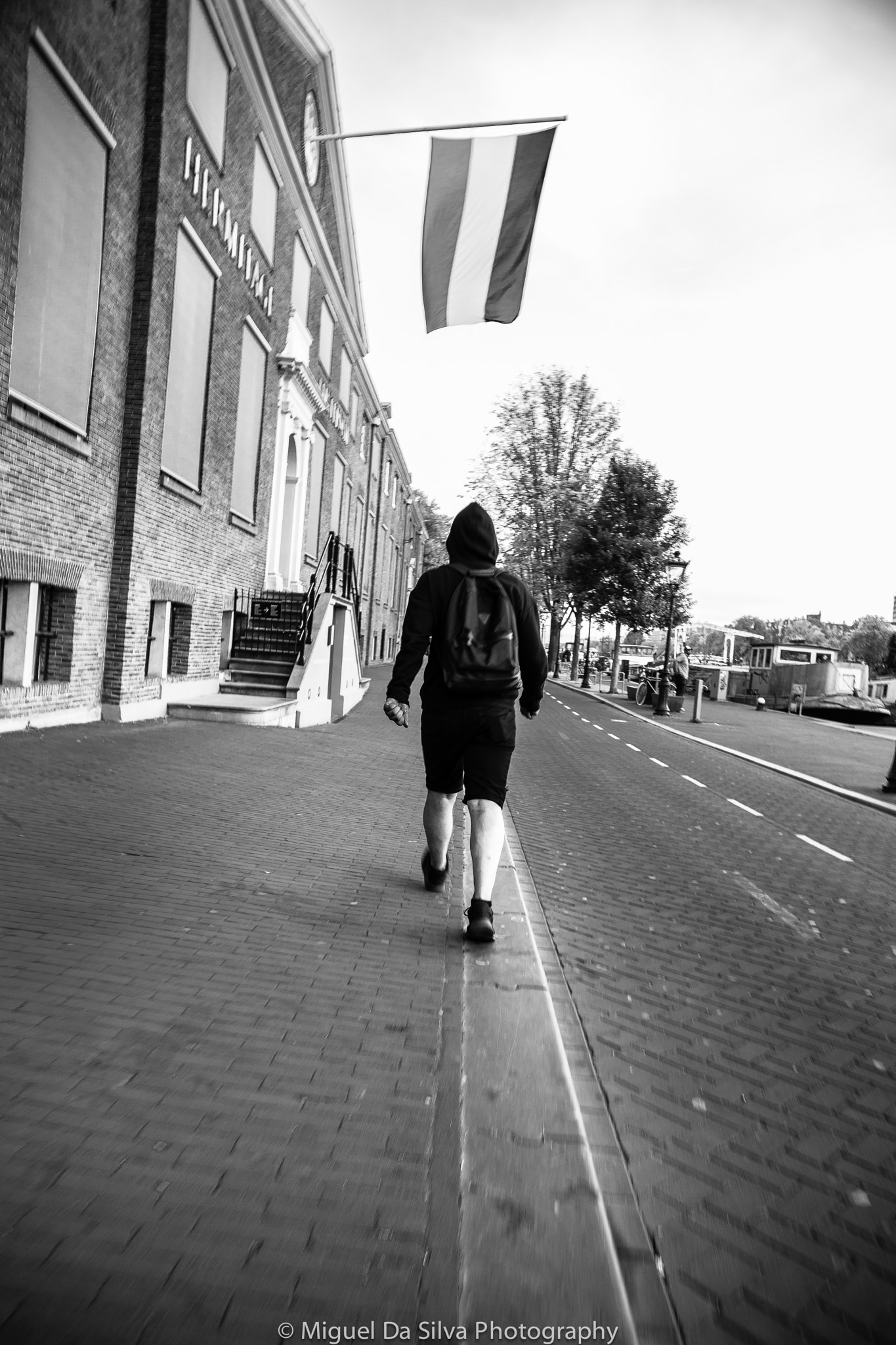 Sony Alpha DSLR-A900 sample photo. Street: project 52 (18/52) photography