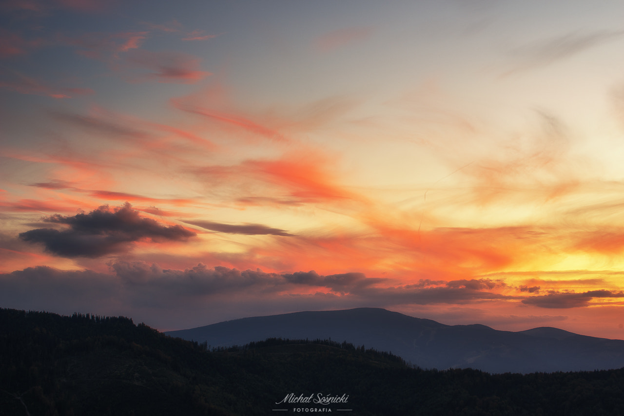 Sigma 50-500mm F4.5-6.3 DG OS HSM sample photo. Pilsko... photography