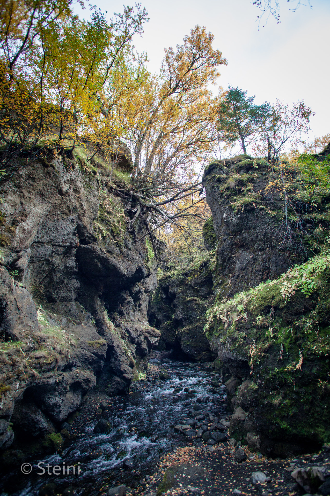 Canon EF 17-35mm f/2.8L sample photo. Nauthúsagil photography