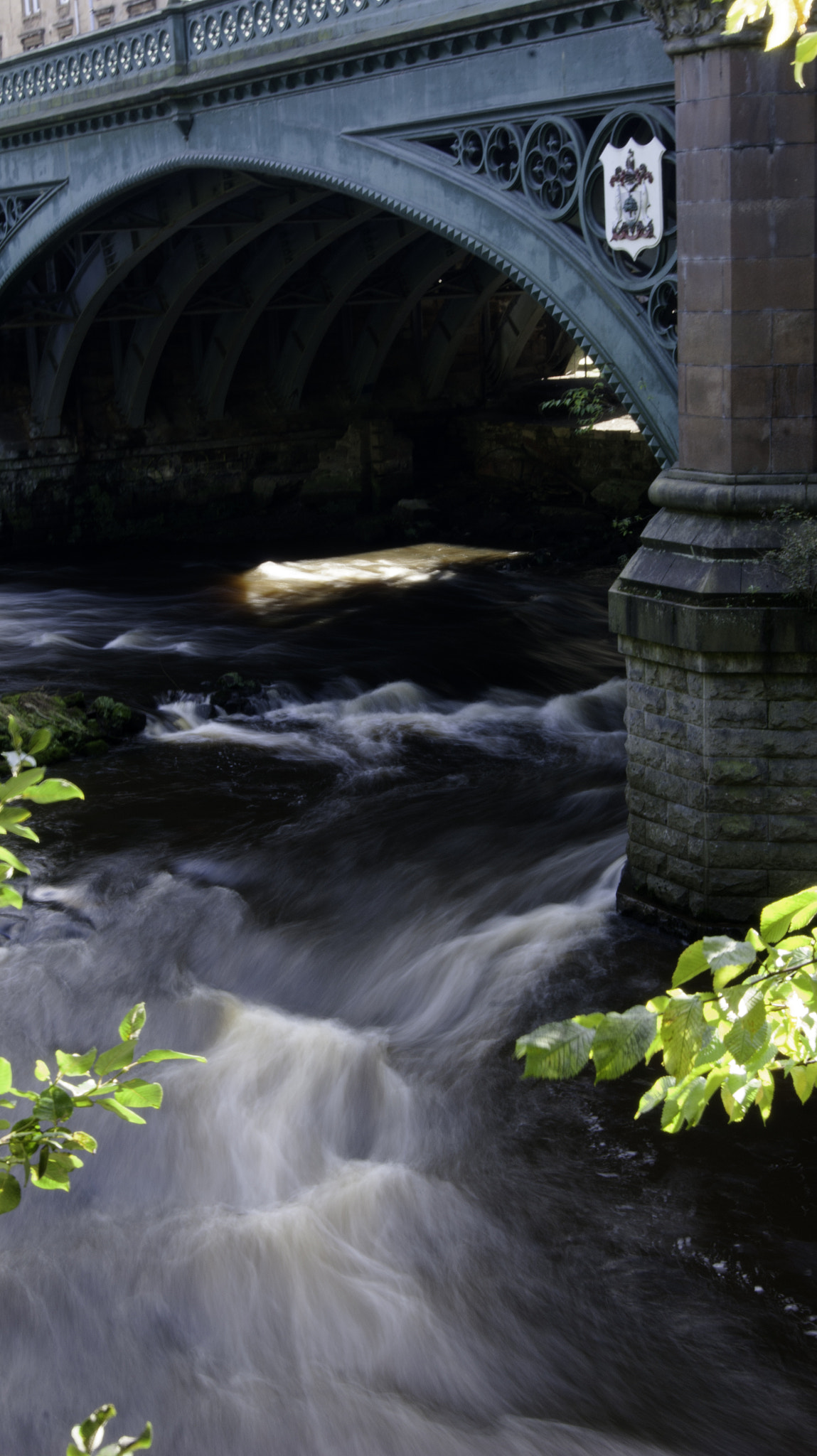 Sony Alpha DSLR-A290 + Sony DT 18-55mm F3.5-5.6 SAM sample photo. Kelvingrove park photography